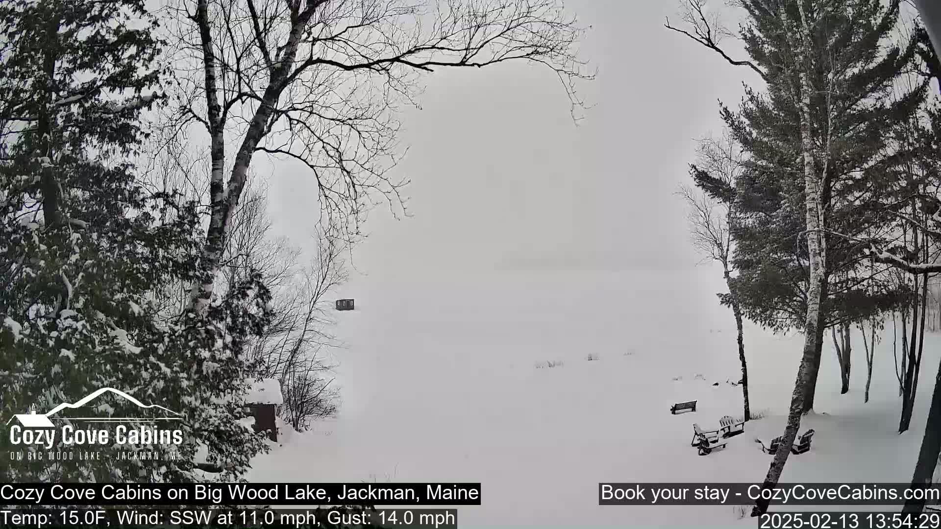 Cozy Cove Cabins, Wood Pond Live Cam - Jackman, Maine,  USA
