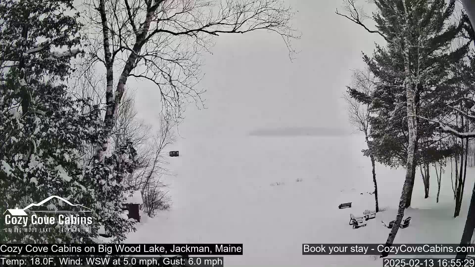 A snow-covered landscape shows a frozen lake with snow-laden trees in the foreground and background under a hazy, snowy sky.