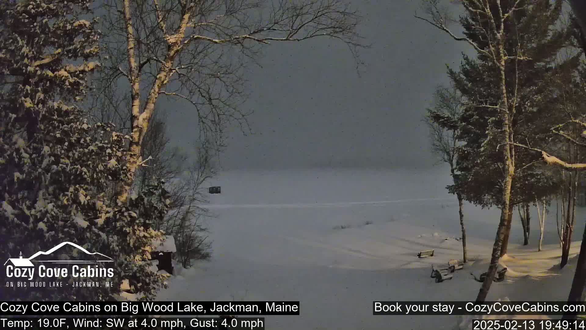A snow-covered landscape with trees and a frozen lake is visible under a dark, overcast sky; light snow is falling.