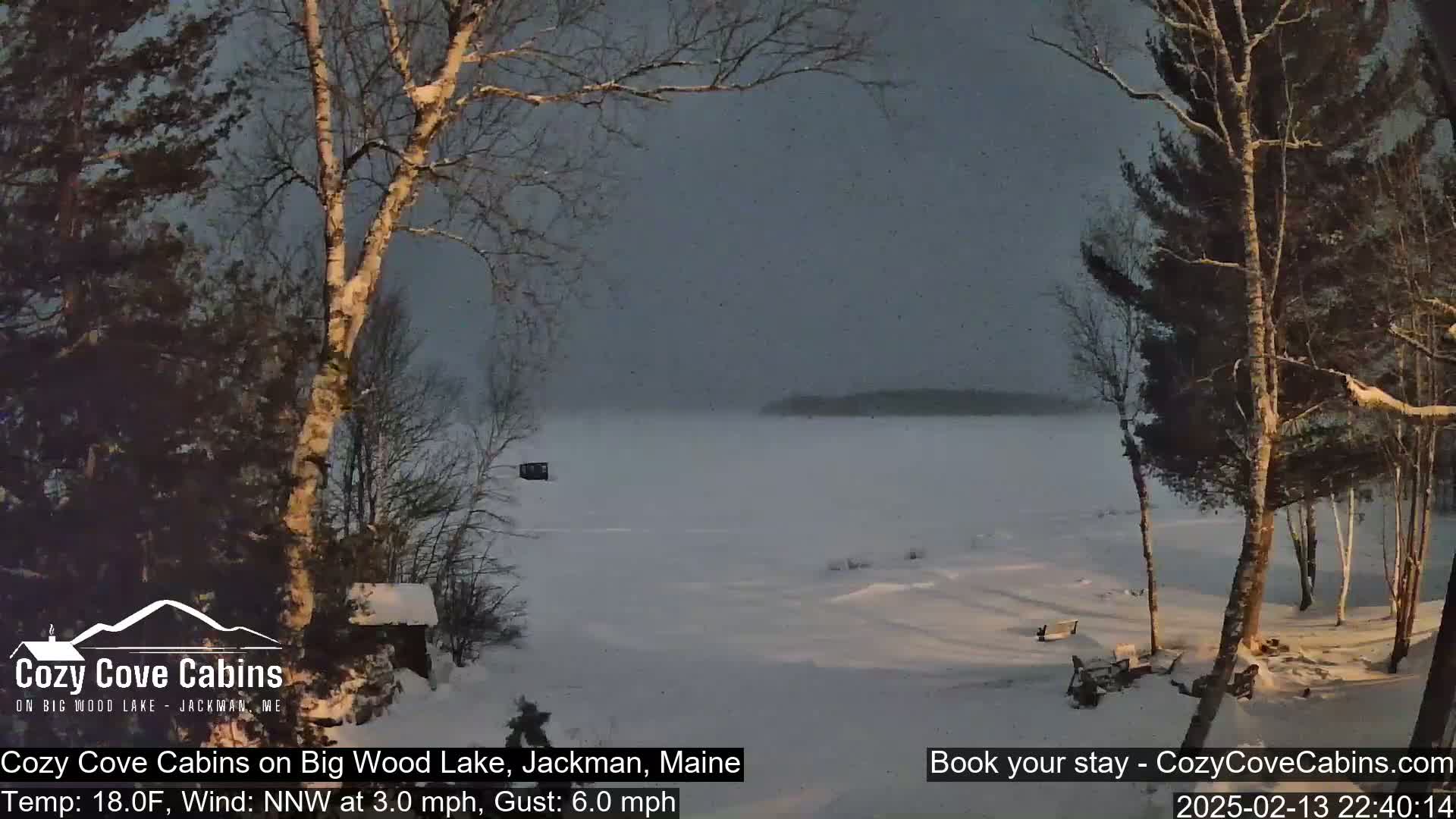 A snow-covered frozen lake is visible through a stand of leafless trees under a dark, overcast sky.
