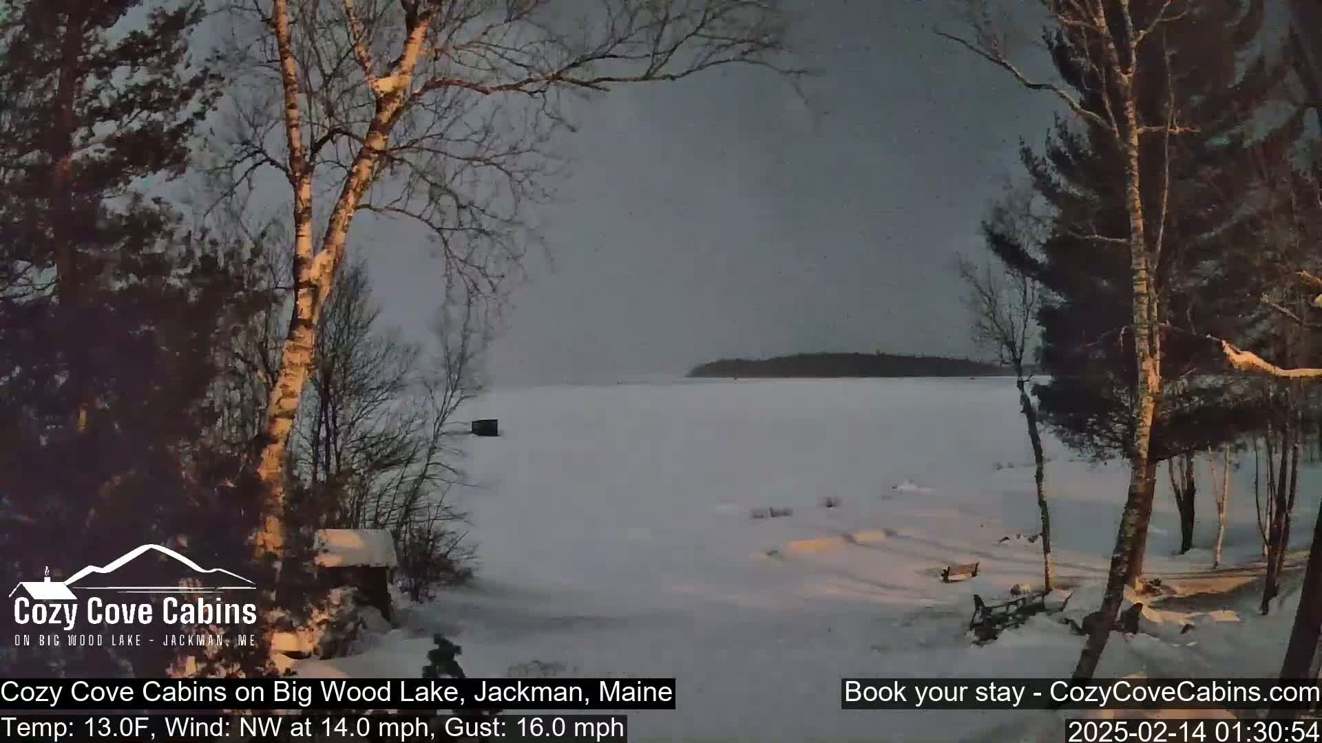 A snow-covered lake is seen from a lakeside vantage point, under a gray, overcast sky, with bare trees in the foreground and a faint light illuminating the scene.