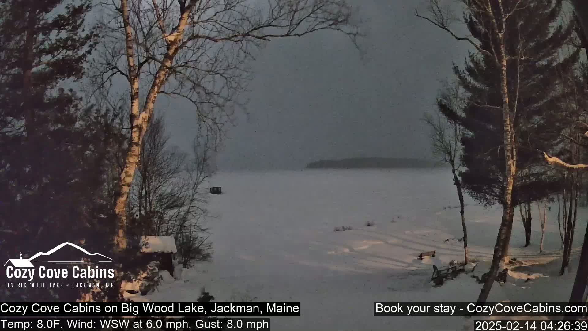 A snow-covered, frozen lake is seen from a snowy shoreline with leafless trees under a gray, overcast sky.