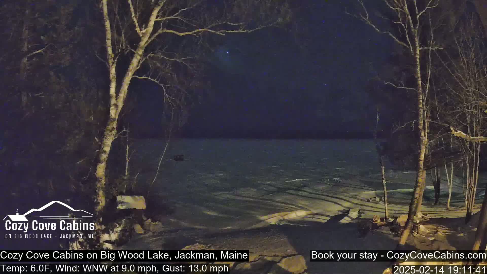 A nighttime view of a partially frozen lake under a starry sky, with bare trees in the foreground and a slight wind.