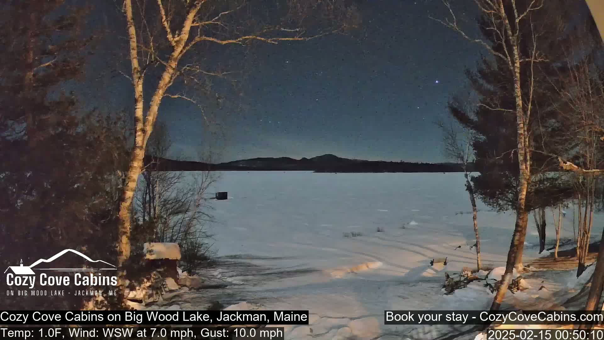 A frozen lake is visible under a dark, starry night sky, with snow-covered ground and bare trees in the foreground.