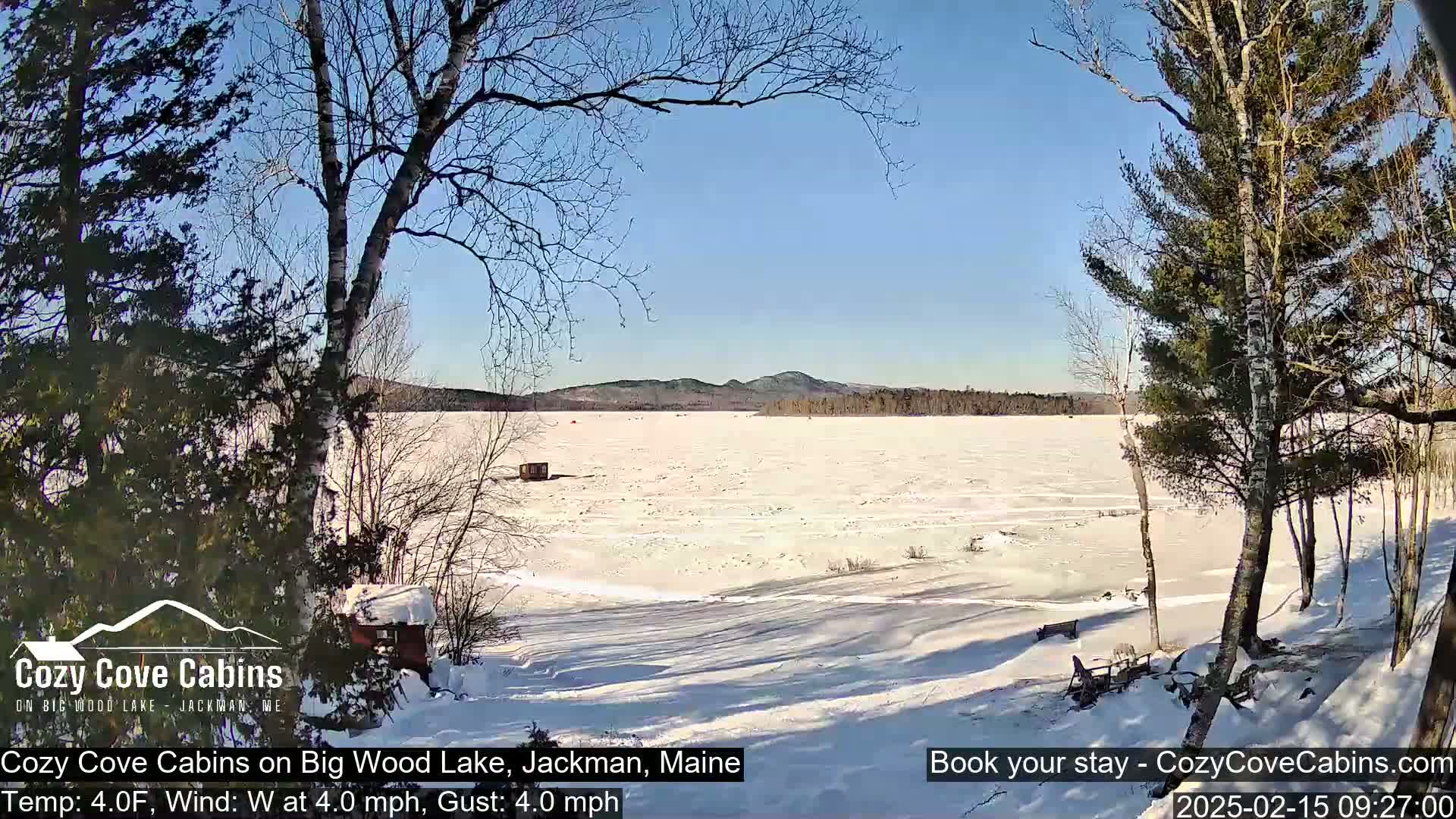 A snow-covered frozen lake stretches to distant hills under a clear blue sky, viewed from a snowy shoreline with leafless trees.