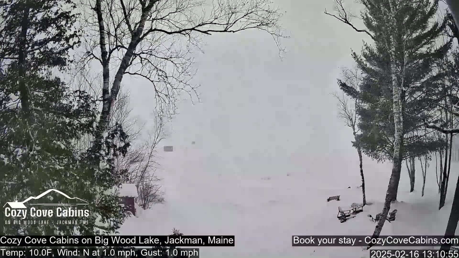 A snow-covered landscape with leafless trees is visible during a heavy snowfall.