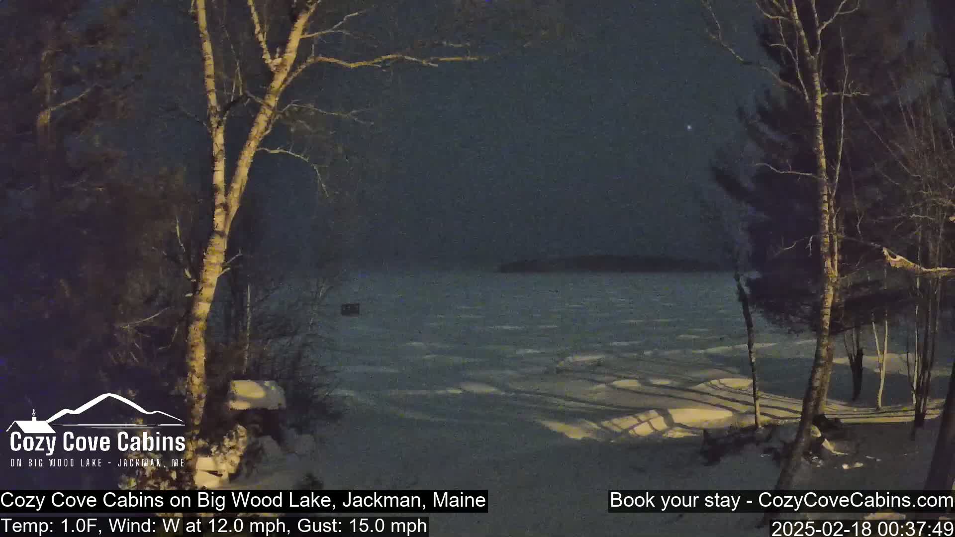 A nighttime view of a snow-covered shoreline with bare trees and a partially frozen lake under a dark sky, with a brisk westerly wind.