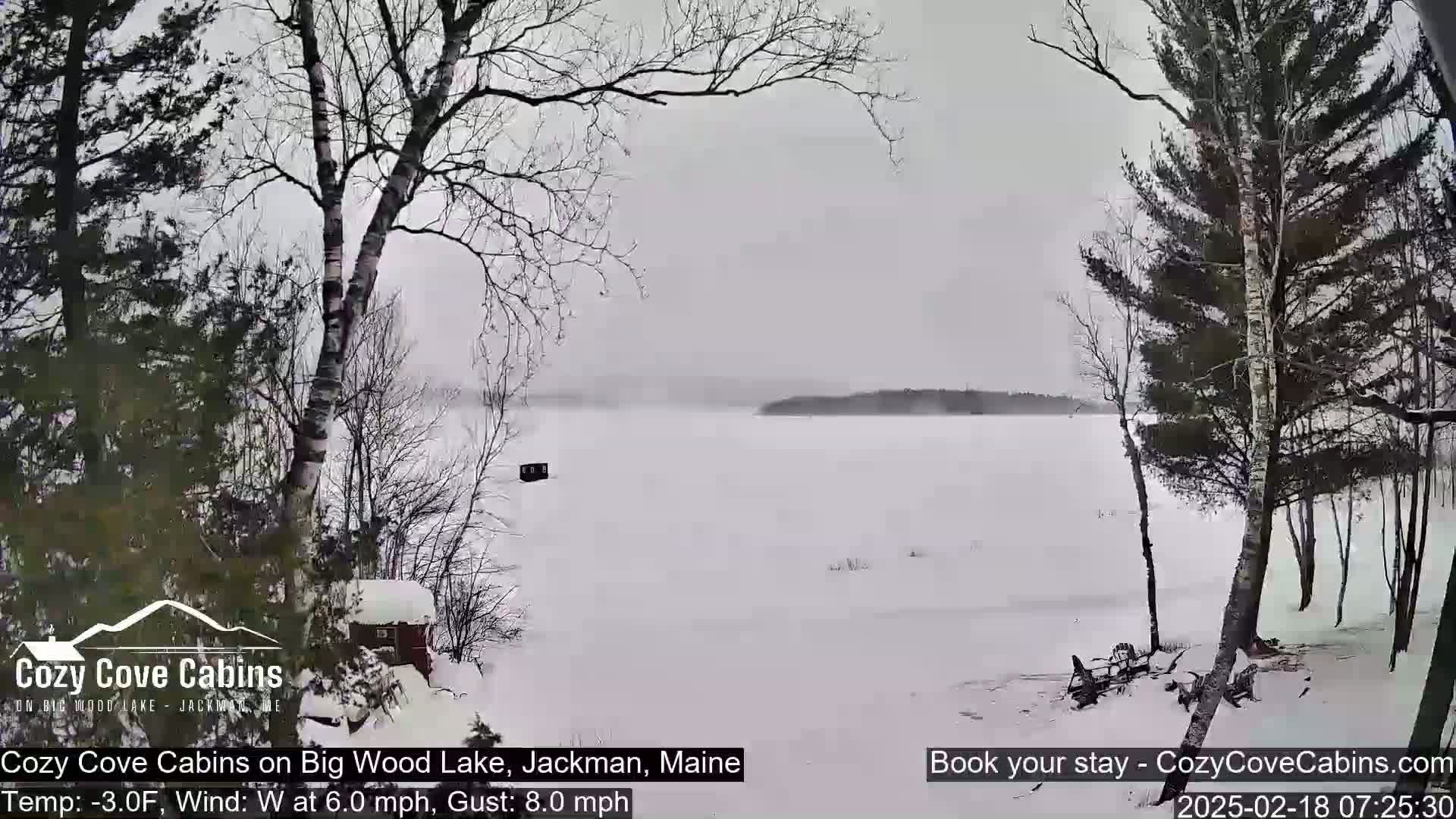 A snow-covered frozen lake is seen from a snowy shoreline, with leafless trees and a small cabin visible in the foreground under a gray, overcast sky.