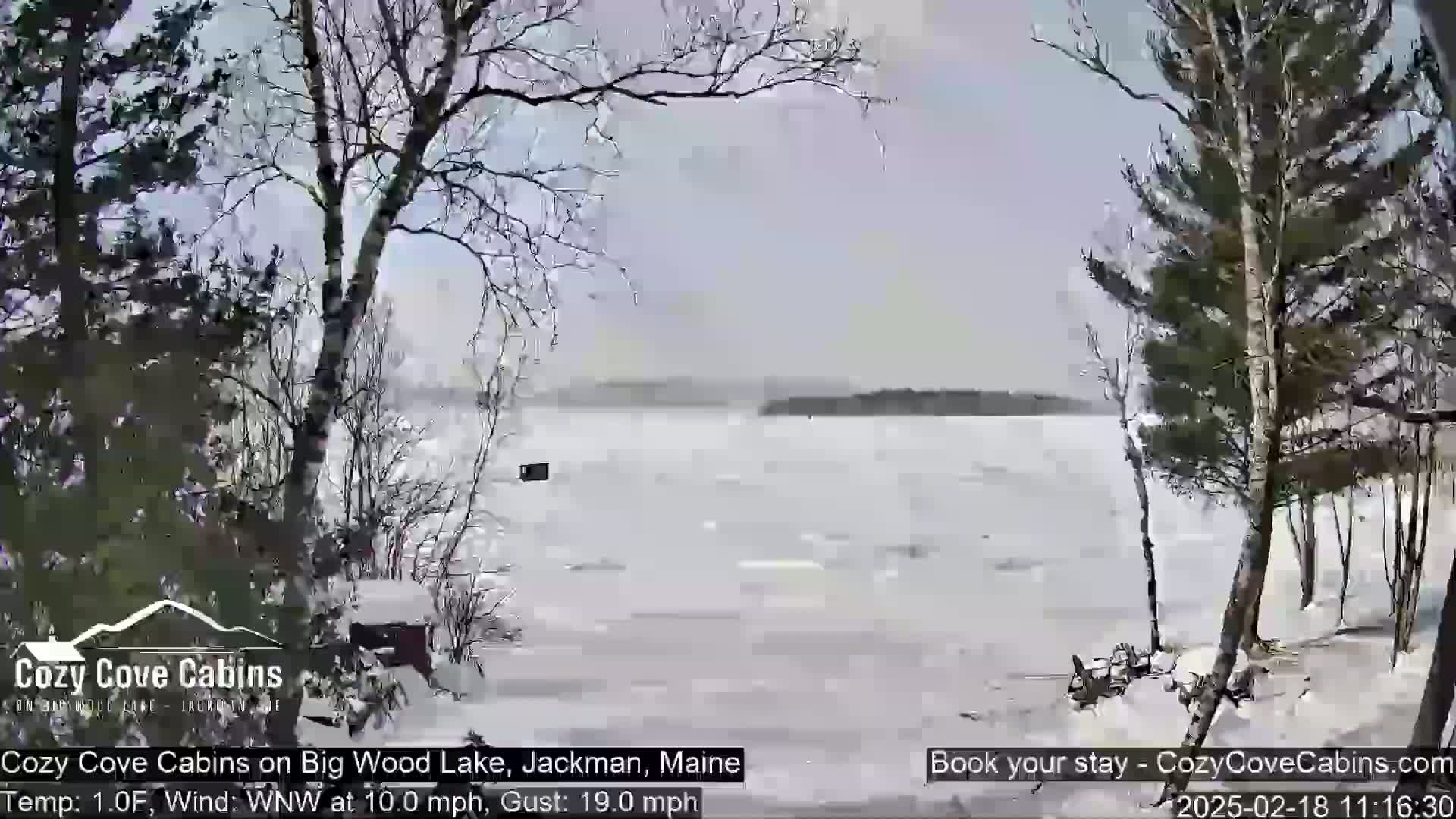 A partially frozen lake is viewed from a snow-covered shoreline with bare trees in windy, cold weather.