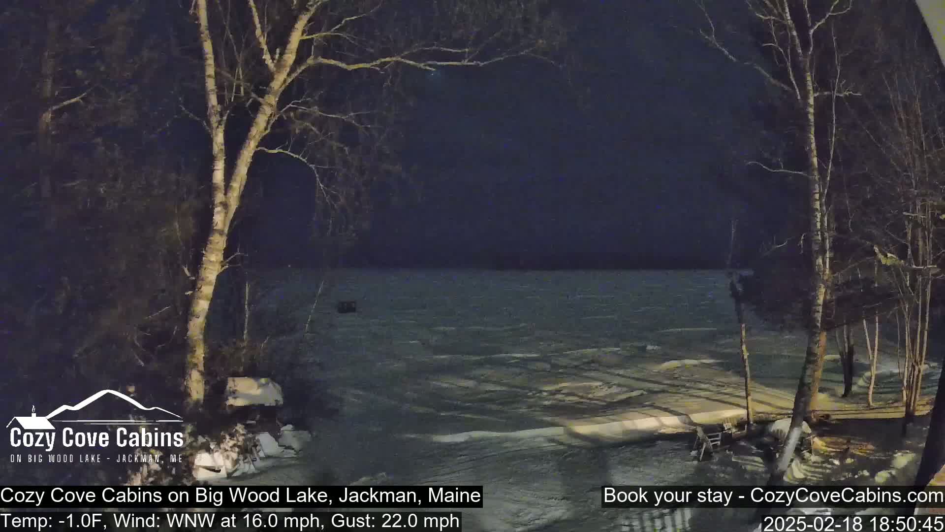 A nighttime view of a partly frozen lake with choppy waves under a dark sky, showing bare trees and snow along the shoreline in windy, cold conditions.