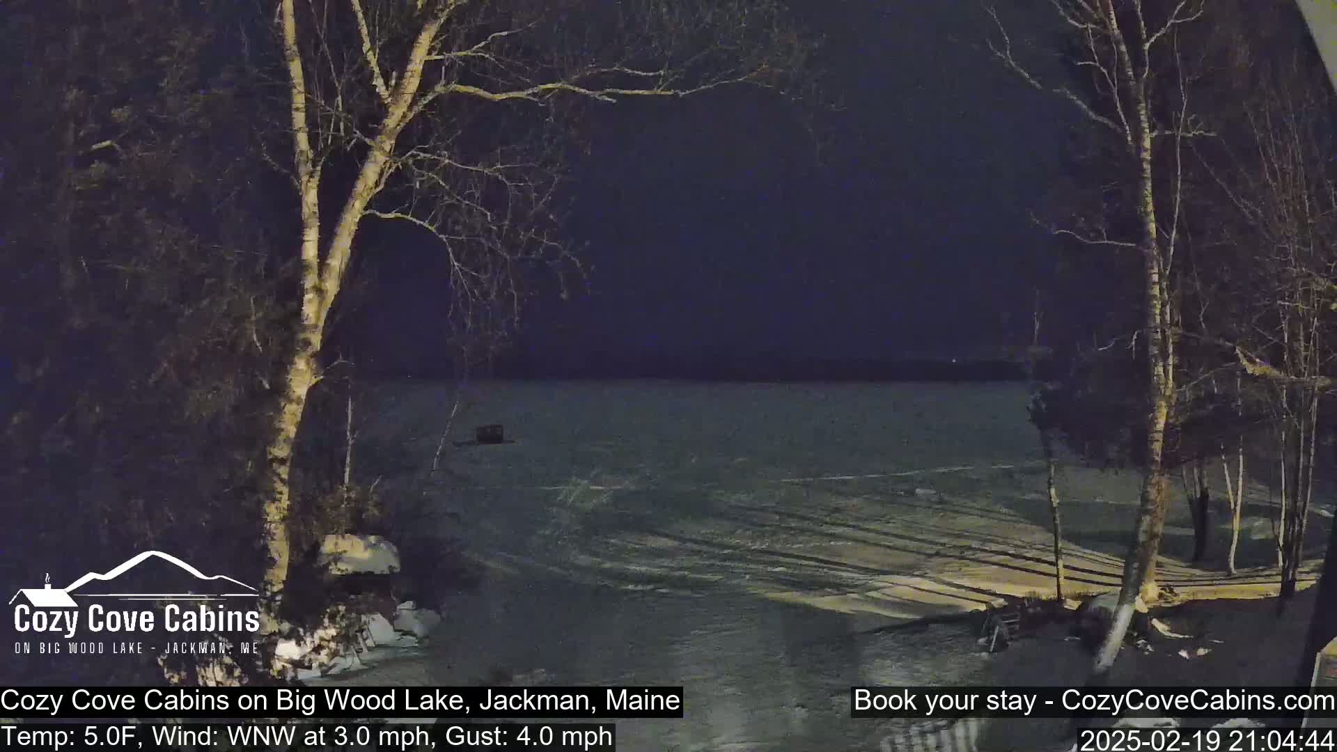 A nighttime view of a snow-covered lake under a dark sky, with bare trees in the foreground and a slight wind.
