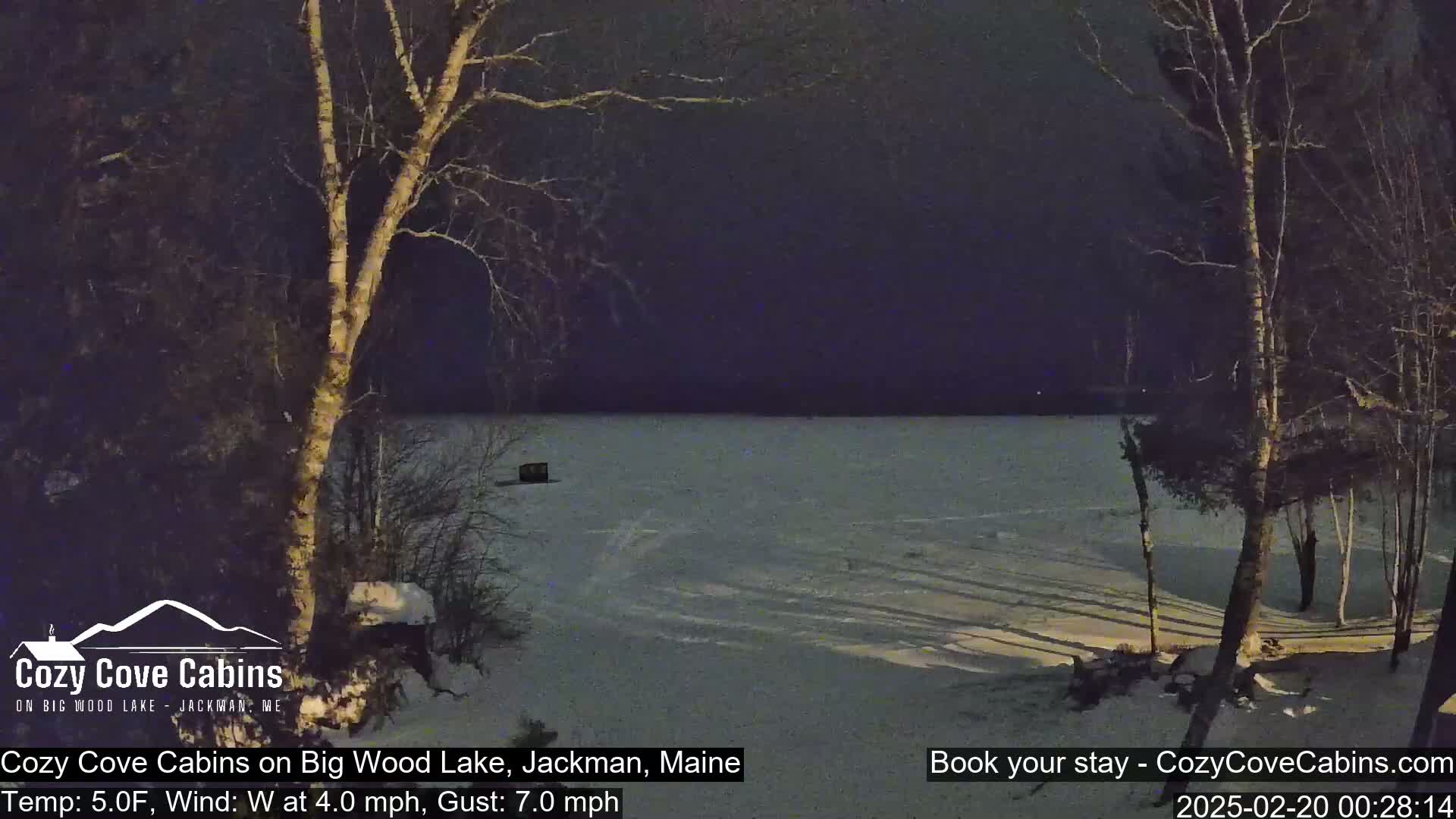 A snow-covered frozen lake is seen at night under a dark sky, with bare trees and shadows cast on the snow in the foreground.