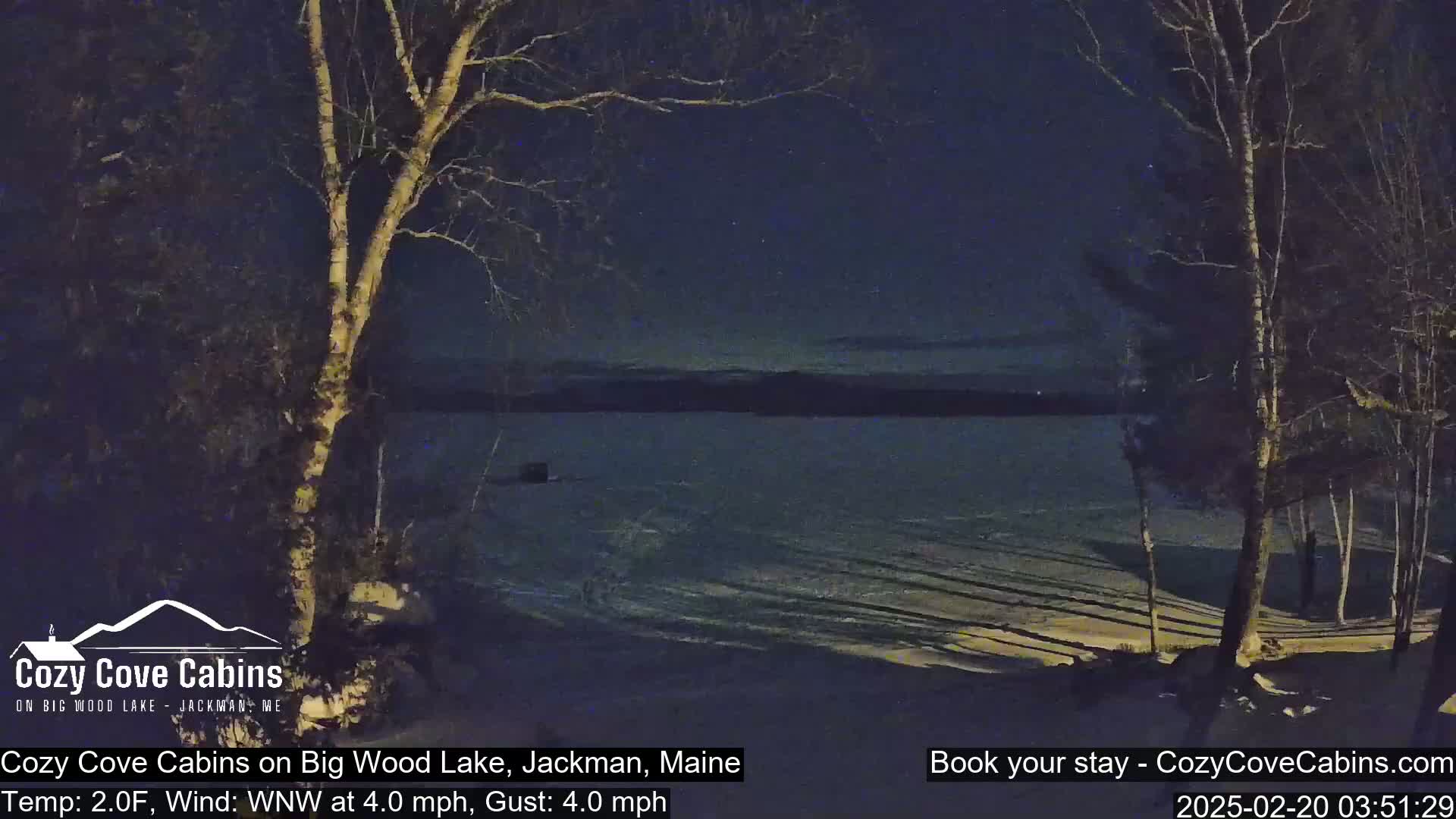 A nighttime view of a snow-covered shoreline on a lake under a dark, clear sky, with bare trees in the foreground.