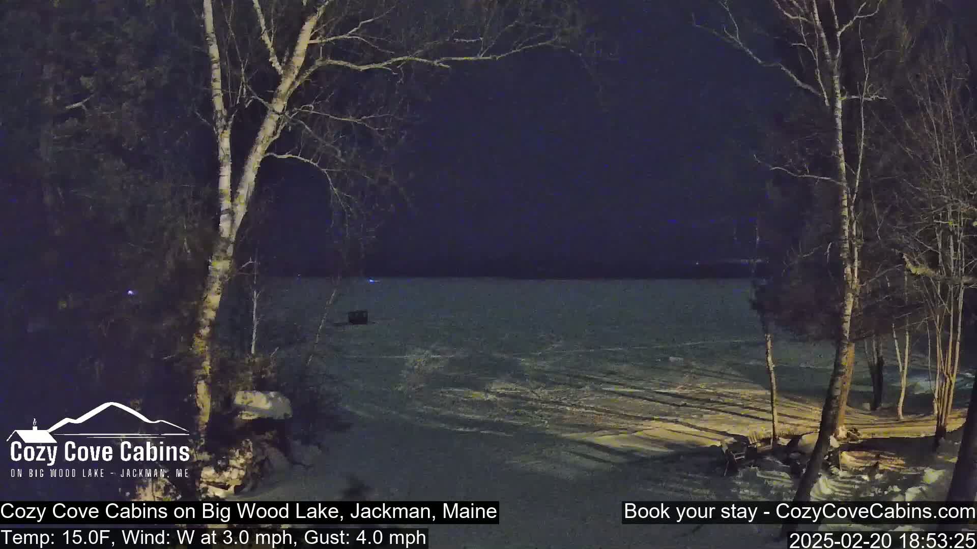 A snow-covered lakeshore at night, under a dark sky, with bare trees and a calm, partially frozen lake.