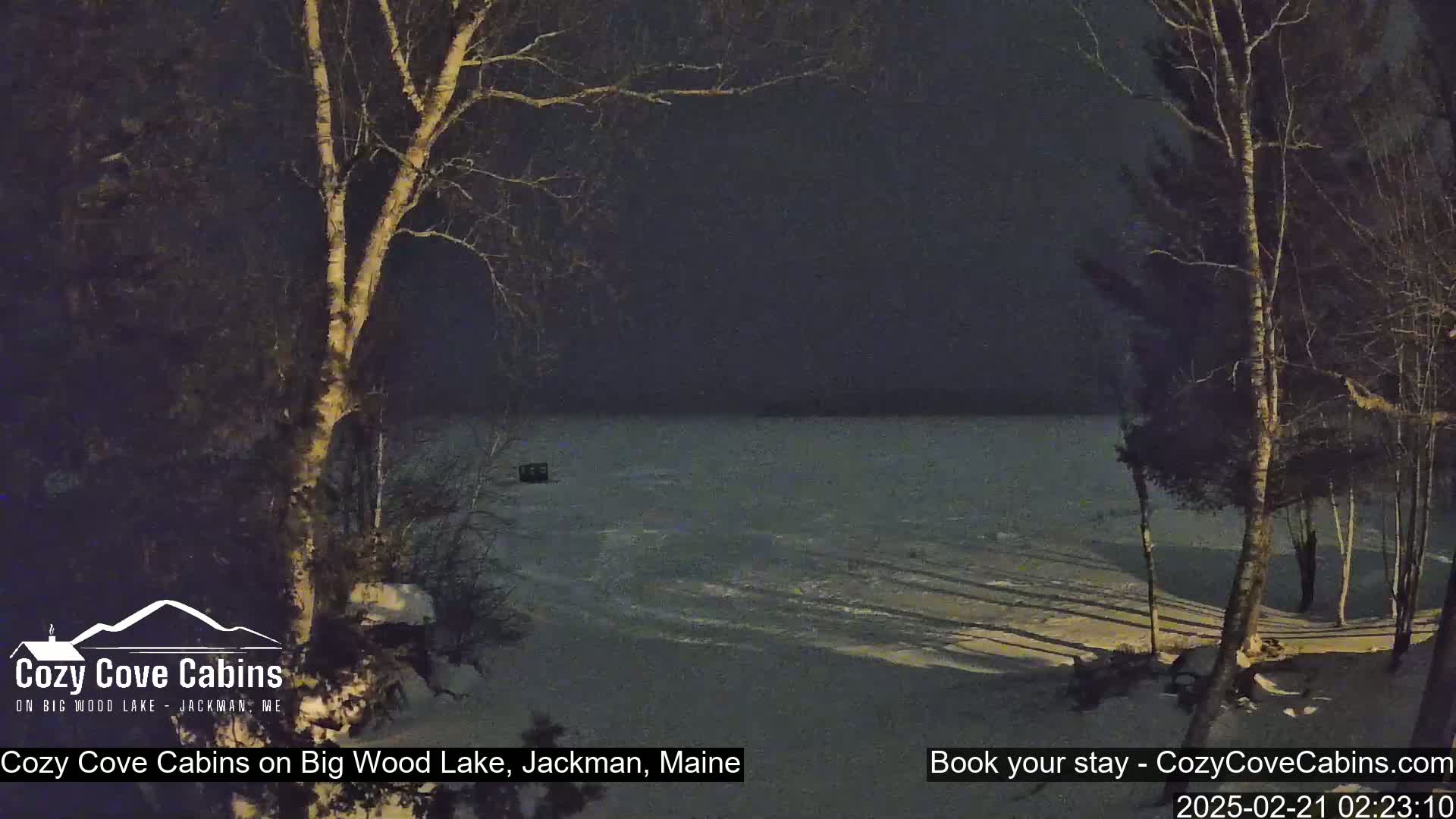 A snow-covered shoreline at night, with leafless trees and a dark, frozen lake in the background under a dark sky.