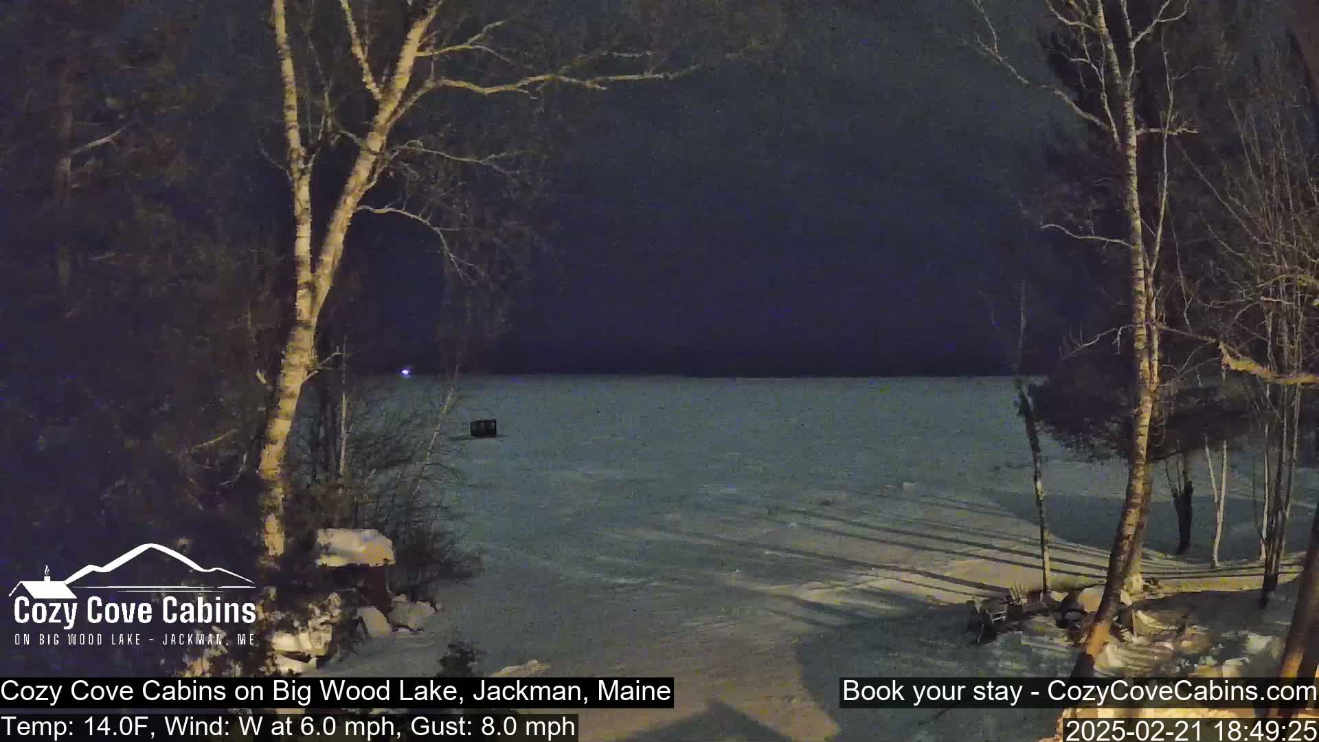 A snow-covered lake is viewed at night from a shoreline with bare trees under a dark sky.