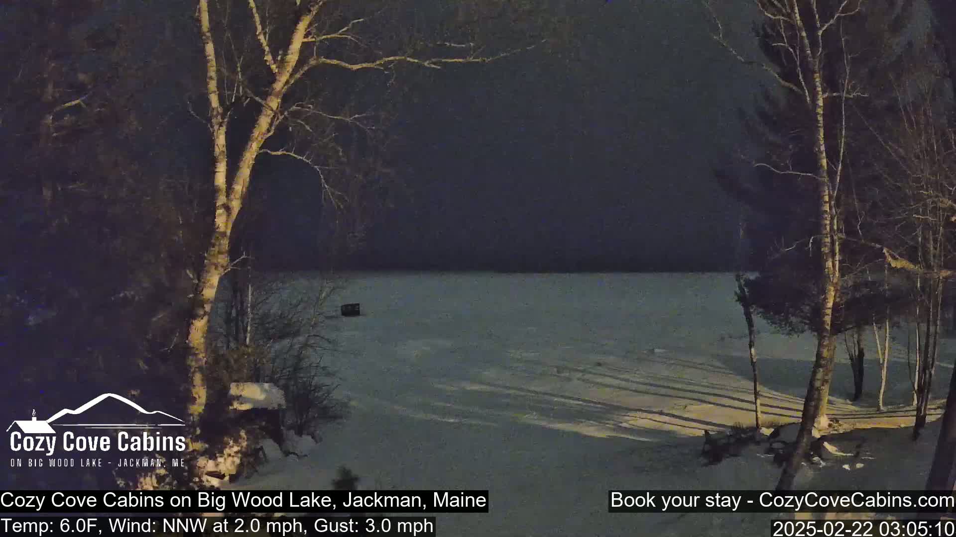 A snow-covered lake is visible at night, under a dark sky, framed by bare trees.