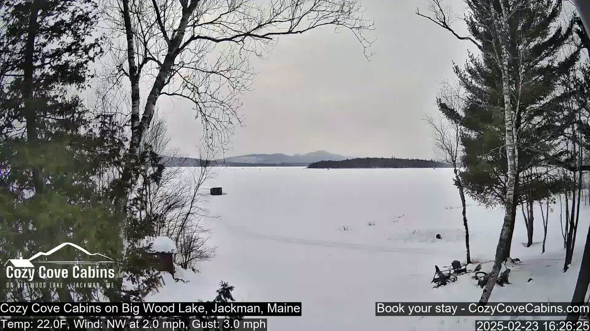 A snow-covered frozen lake is seen through bare winter trees under an overcast sky.