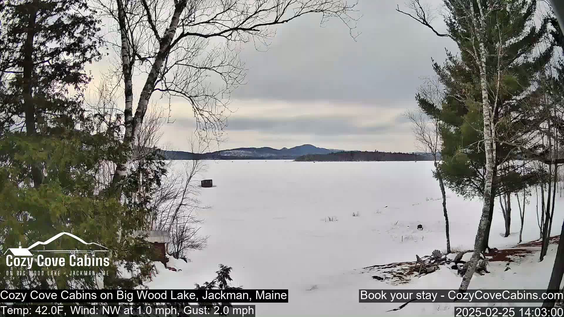A snow-covered frozen lake is seen from a snowy shoreline, with bare trees in the foreground and distant mountains under an overcast sky.