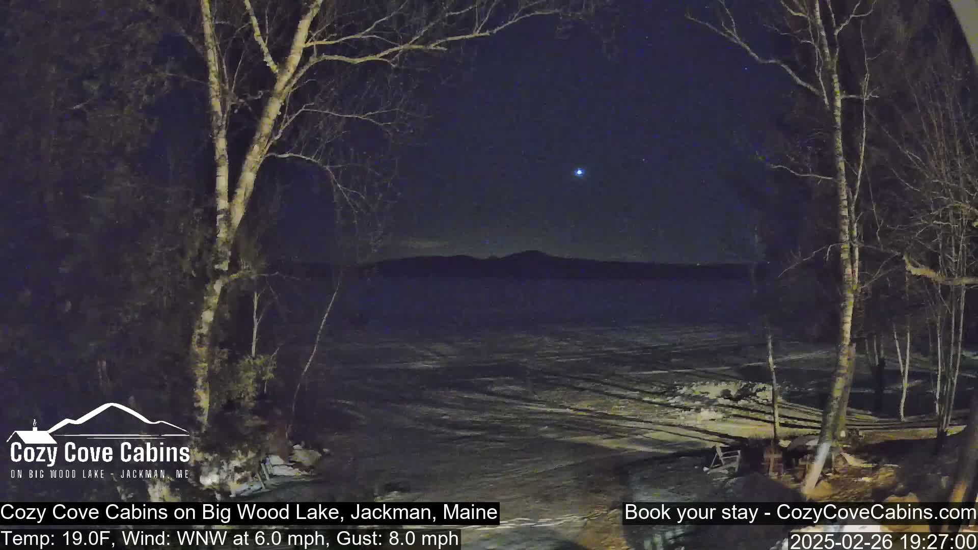 A nighttime view of a snow-covered lake under a starry sky, with bare trees in the foreground and a slight wind.