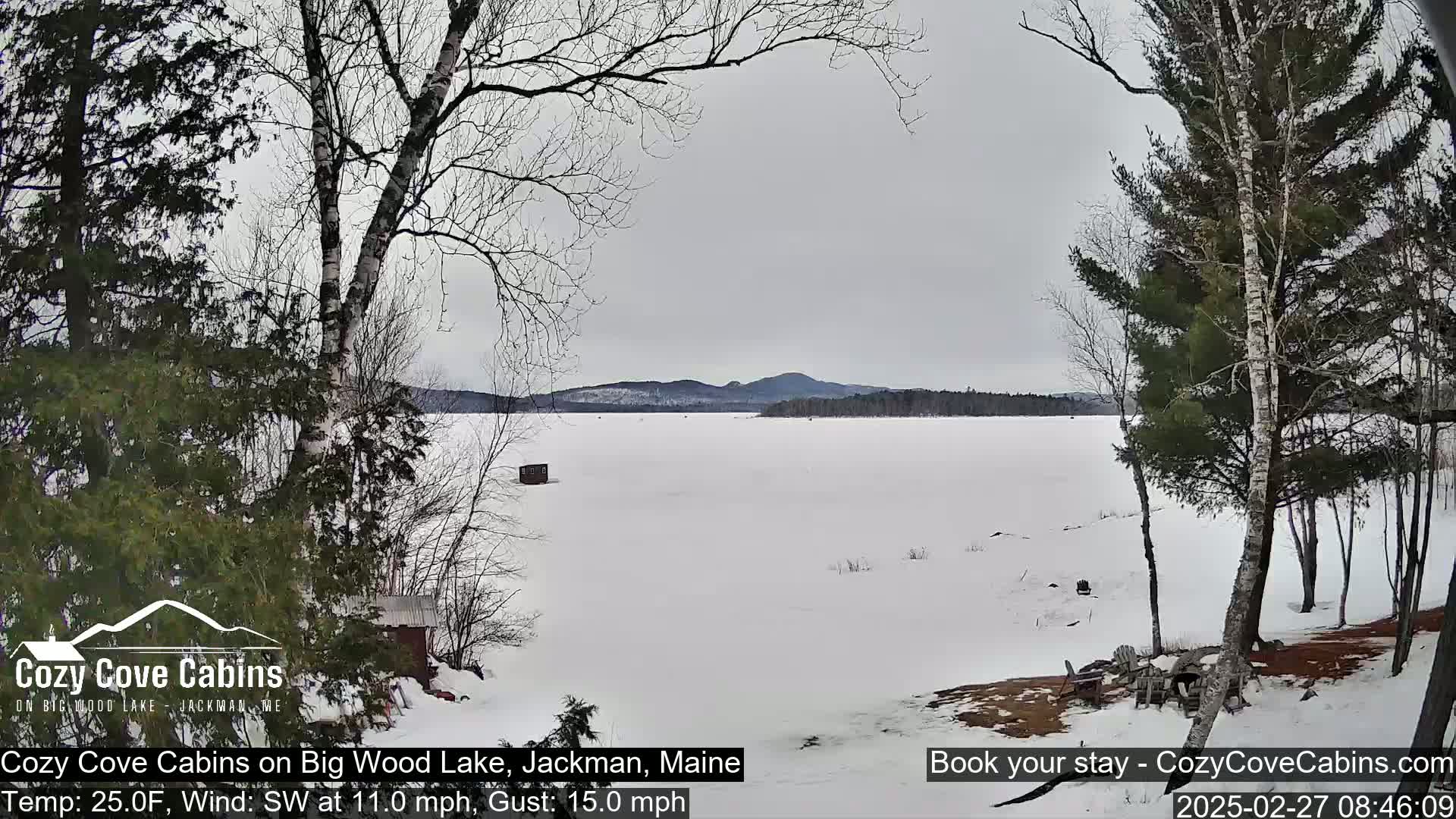 A frozen lake is seen from a snowy shoreline, framed by leafless trees under an overcast sky.