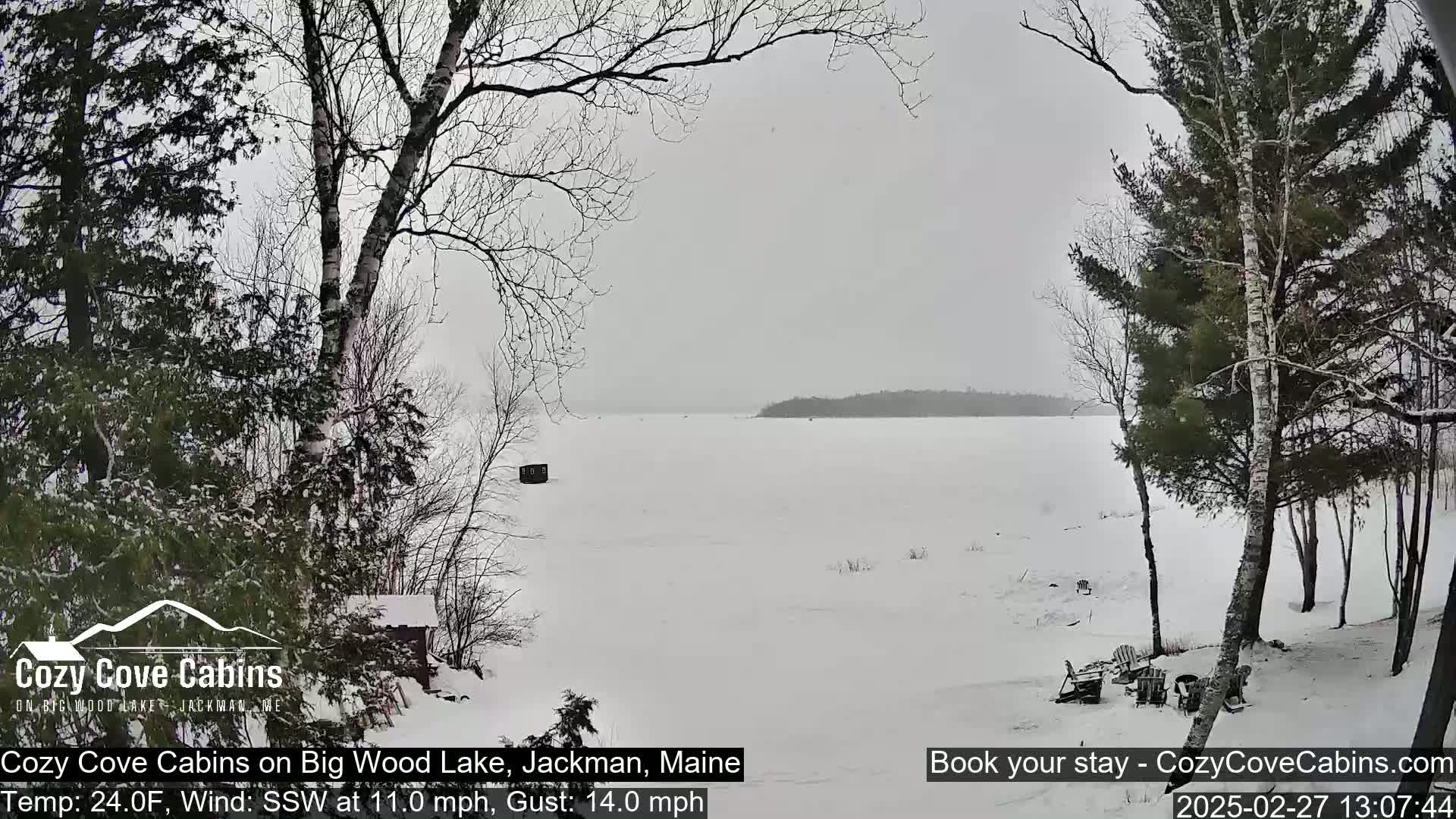 A snow-covered, frozen lake is visible through leafless trees in a light snowfall.