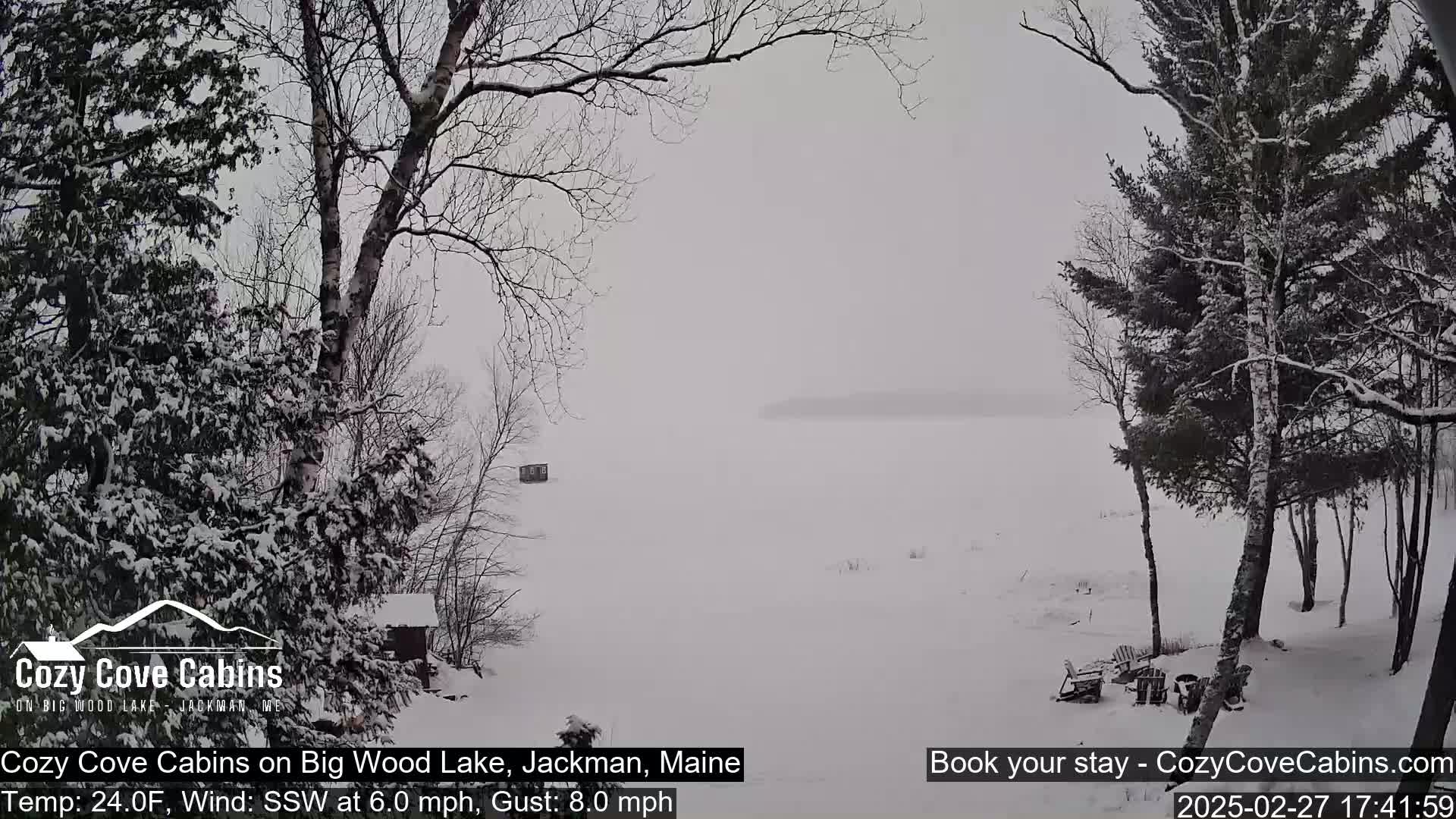 A snow-covered landscape featuring a frozen lake, snow-laden trees, and small structures is visible through falling snow.