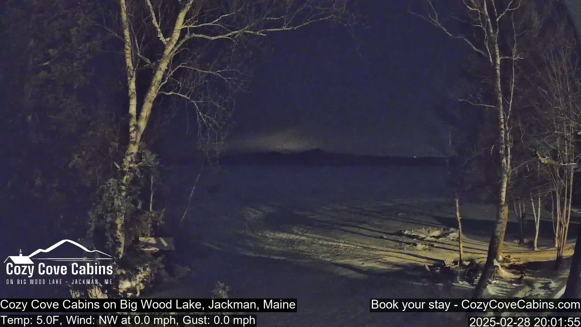 A nighttime view of a snow-covered shoreline, bare trees, and a calm lake under a dark sky.