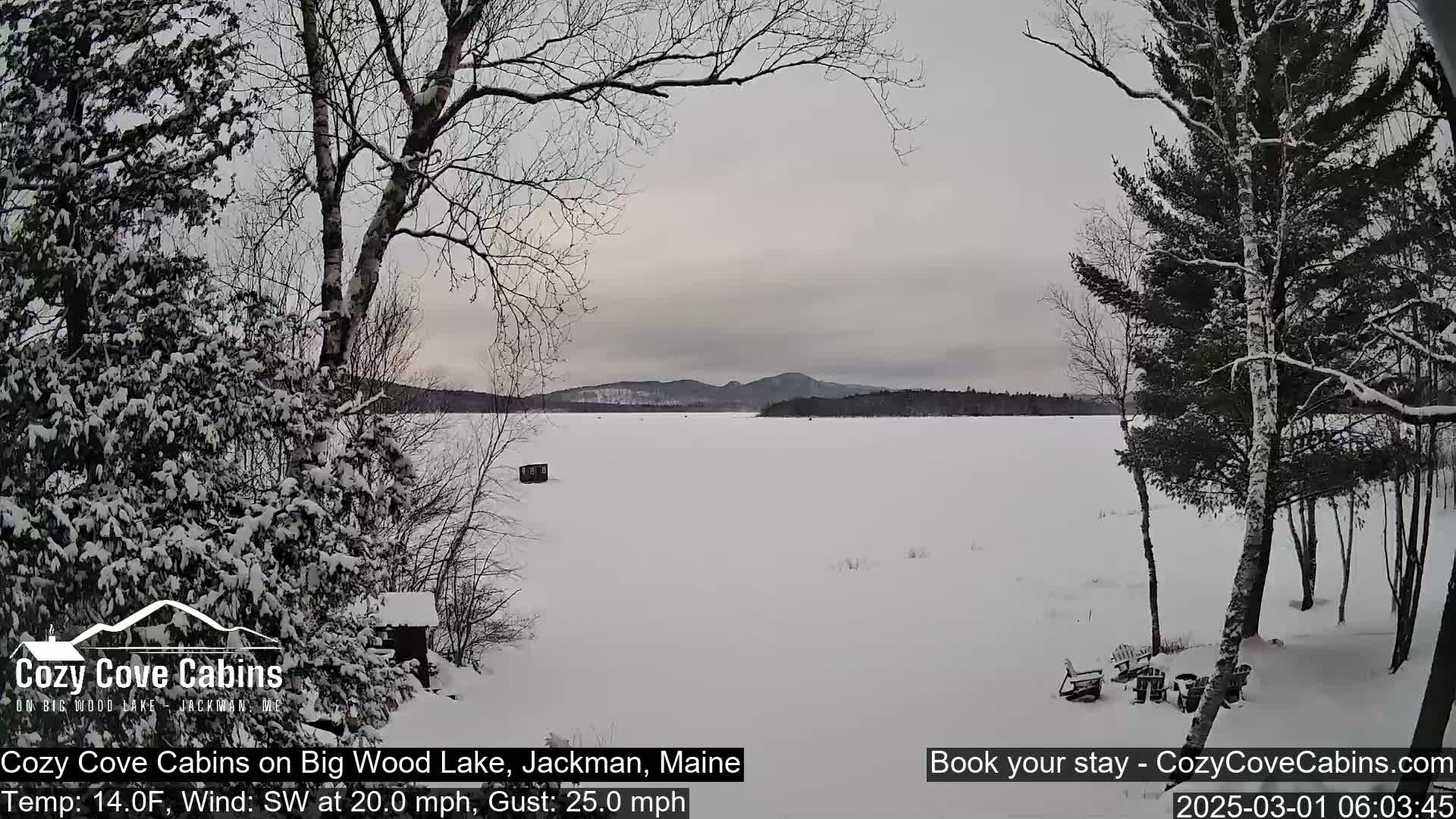 A snow-covered frozen lake is viewed from a snowy shoreline, with bare trees and a cloudy sky.