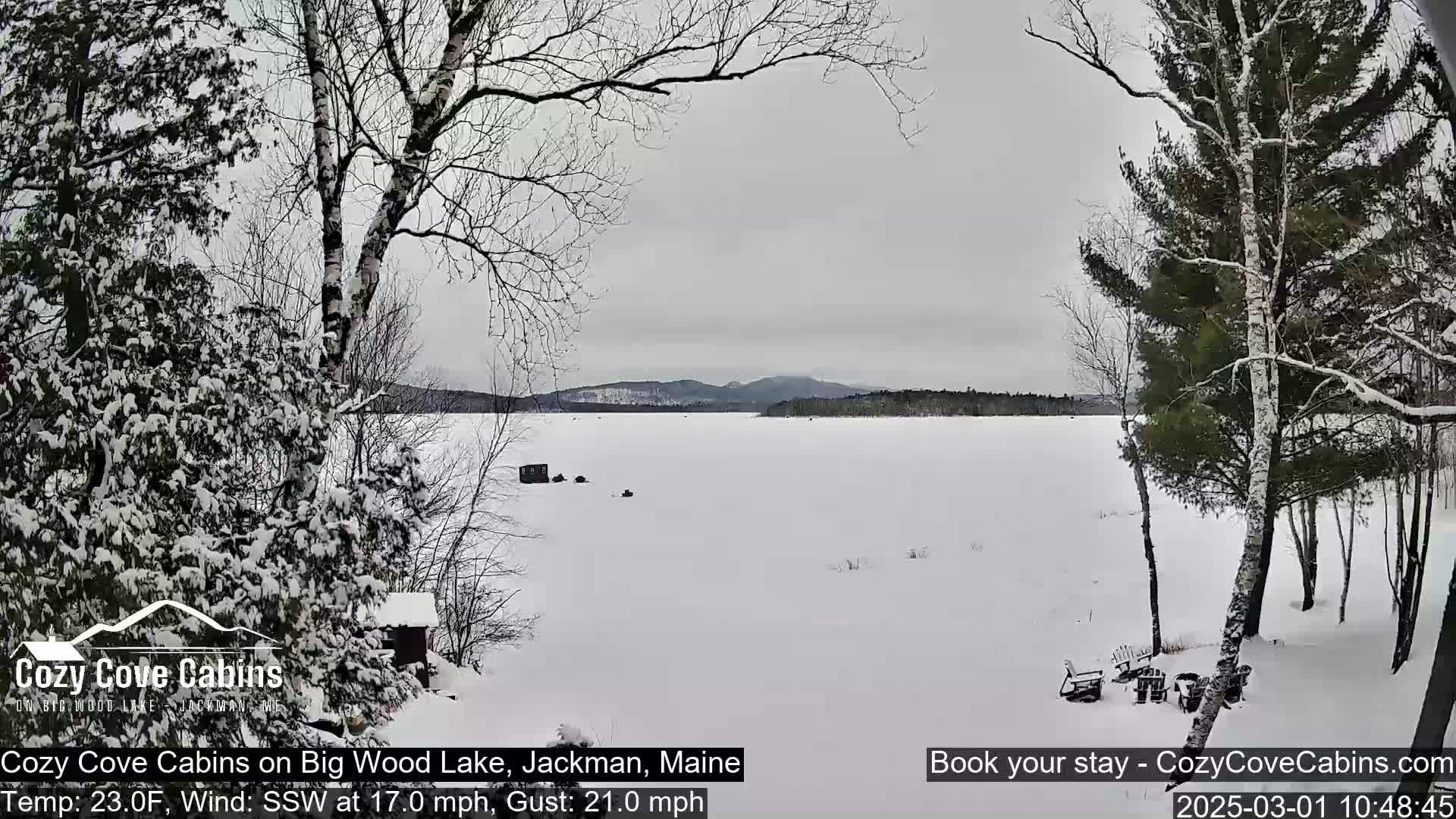 A snow-covered frozen lake is viewed from a snowy wooded area, under an overcast sky.