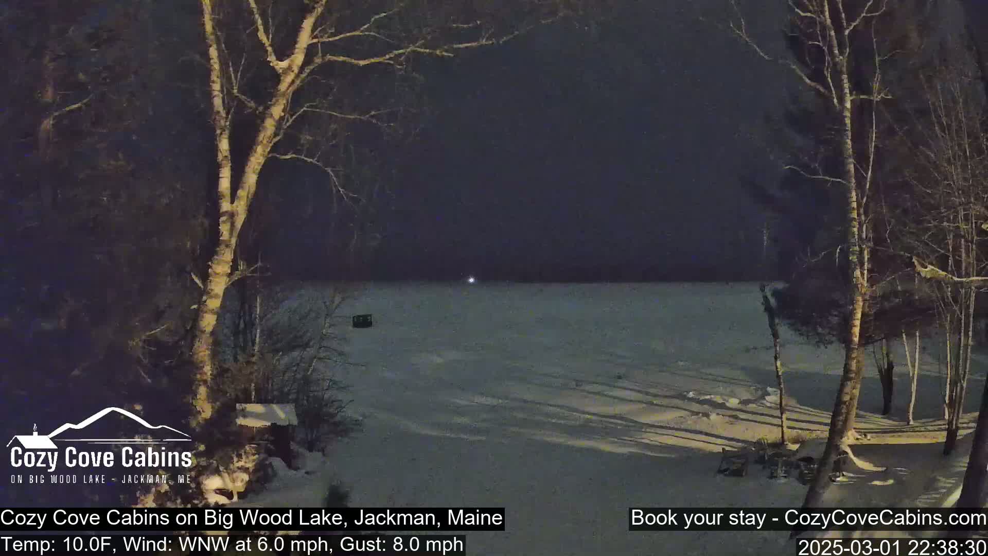 A snow-covered lake is viewed from a snowy shoreline at night, under a dark sky with bare trees in the foreground.