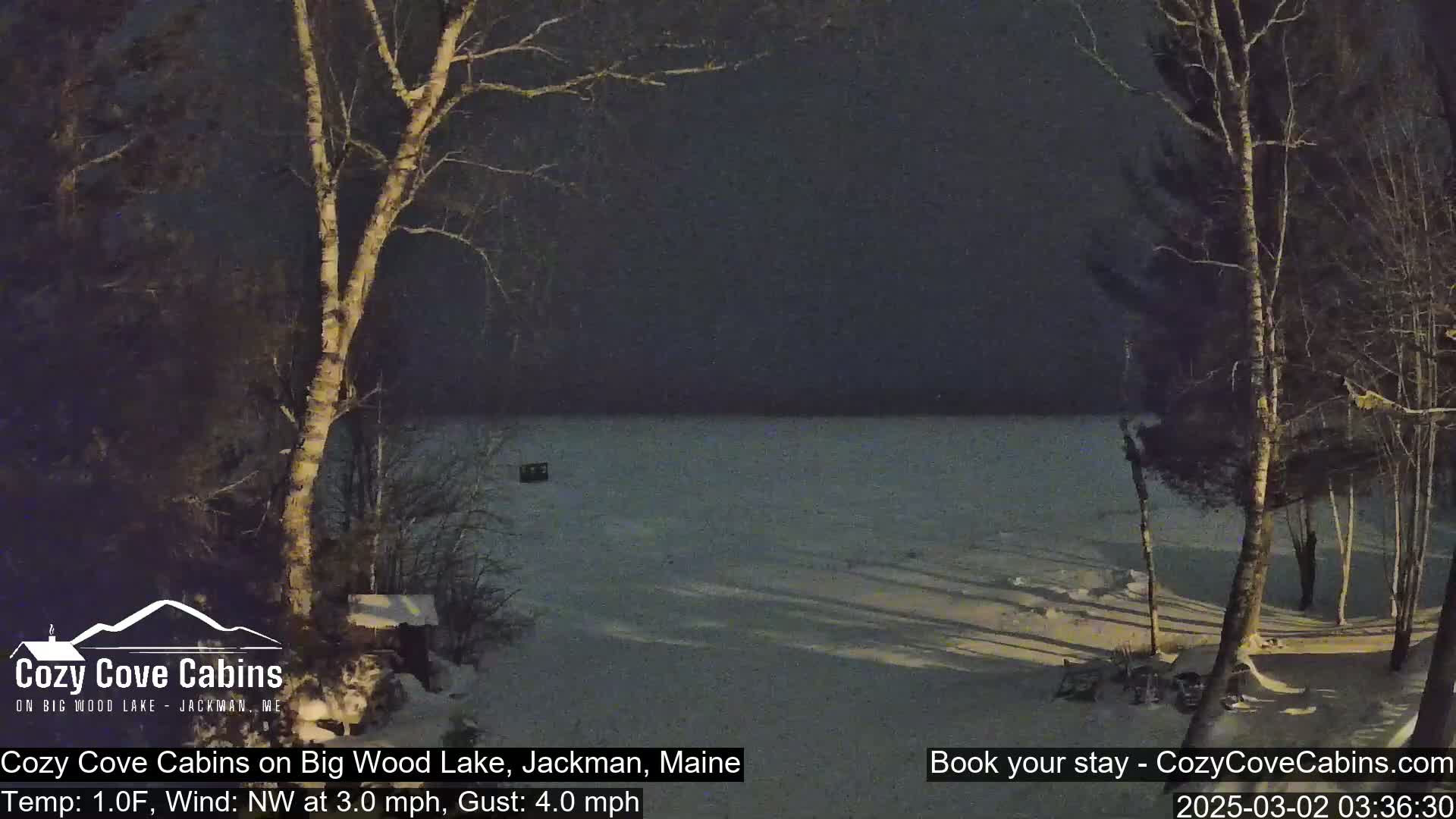 A snow-covered lake is visible at night, with bare trees in the foreground under a dark sky, and a light northwest wind.