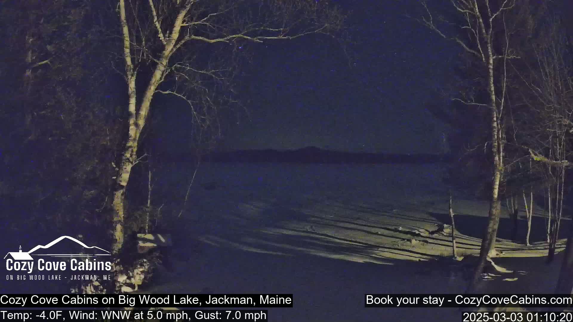 A nighttime view of a snow-covered lake under a starry sky, with bare trees silhouetted against the water and a slight wind.