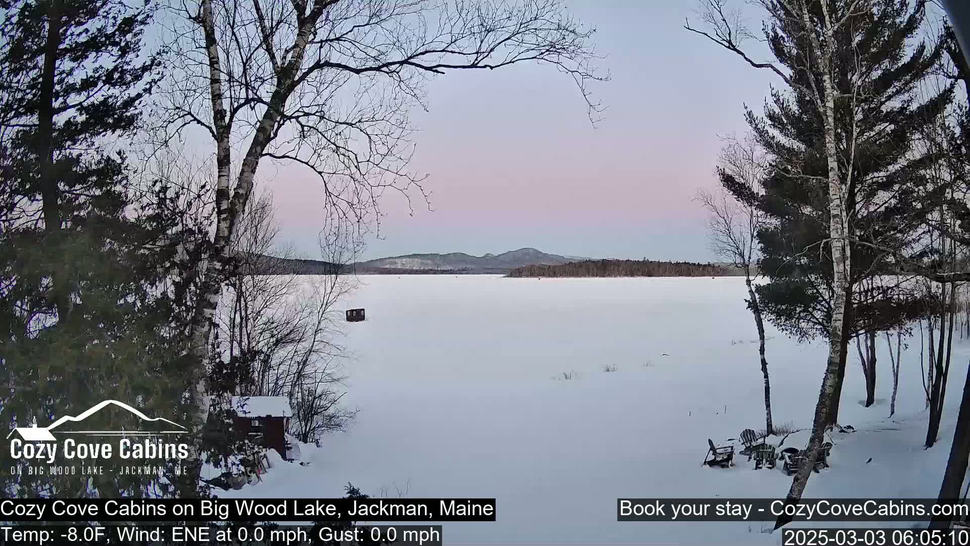 A snow-covered frozen lake stretches to distant hills under a pale pink and purple dawn sky, framed by leafless trees.