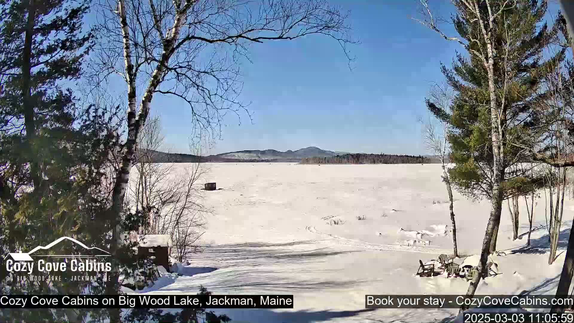 A snow-covered lake stretches to distant, low-lying mountains under a clear blue sky, with bare deciduous trees and evergreens in the foreground.