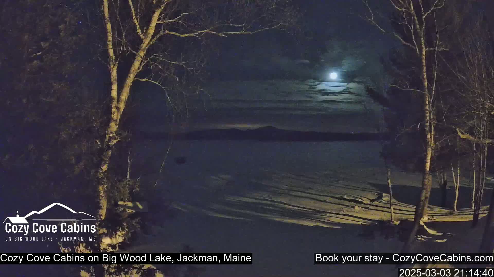 A bright moon illuminates a snow-covered lakeshore at night, partially obscured by bare trees.
