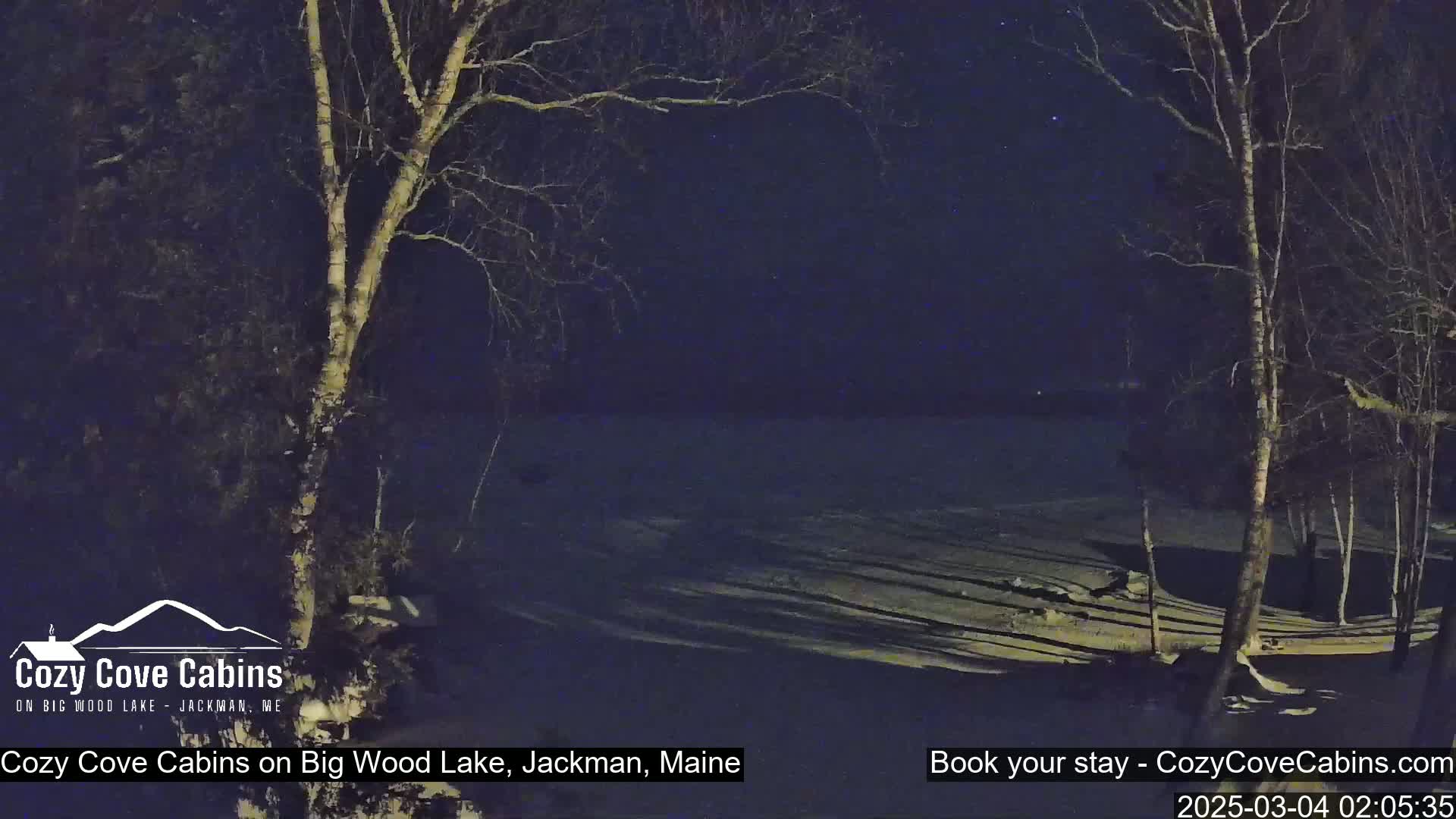 A nighttime view of a snow-covered lakeshore, with bare trees silhouetted against a dark sky speckled with stars.