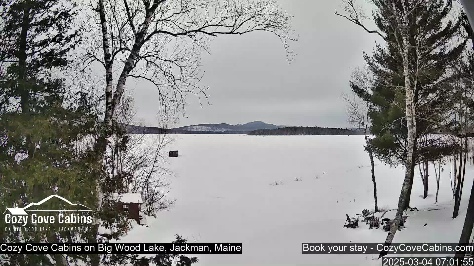 A snow-covered frozen lake stretches to distant hills under an overcast sky, viewed from a snowy shoreline with leafless trees.