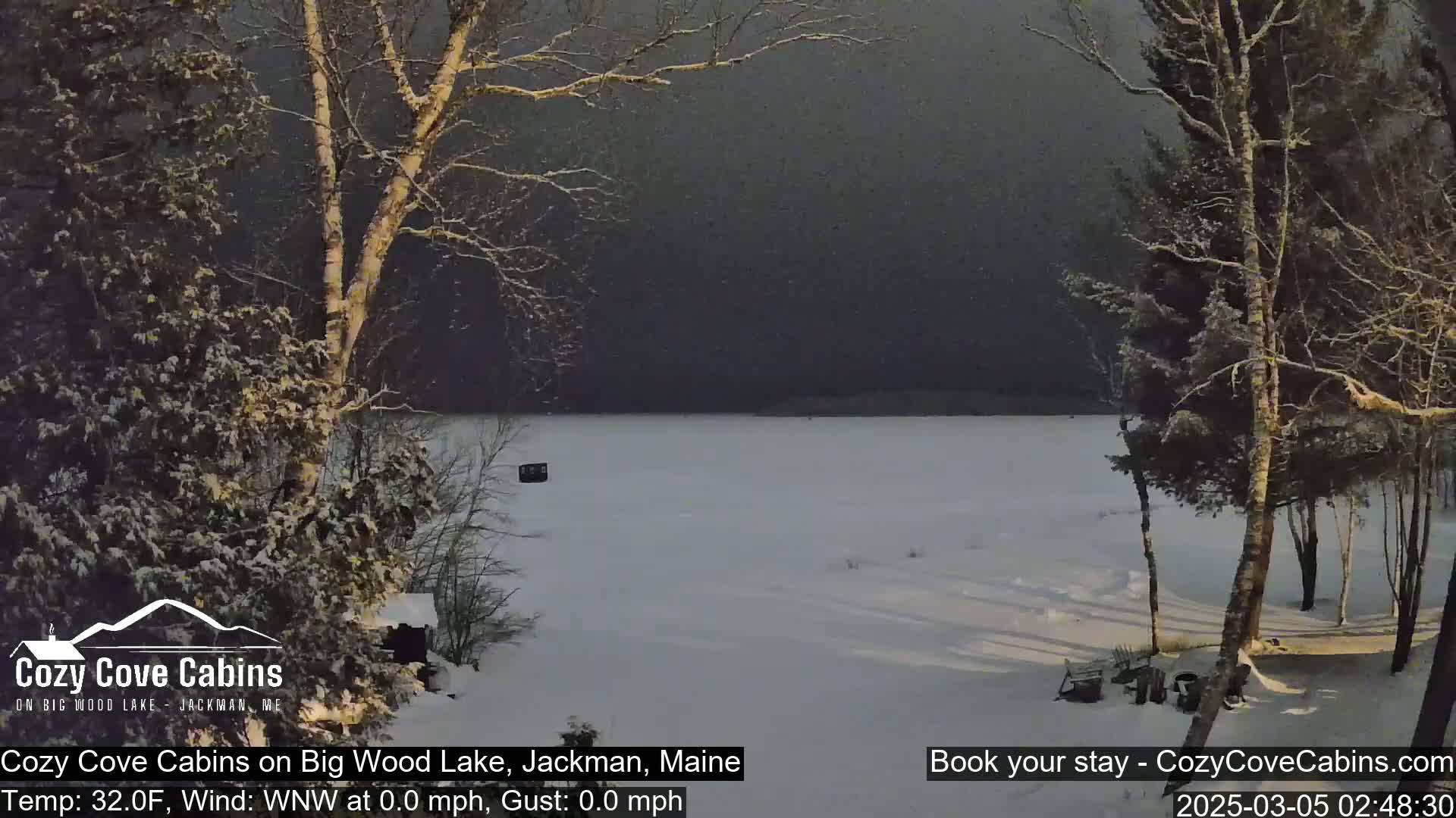 A snow-covered frozen lake is seen from a snowy shoreline, with leafless trees in the foreground under a dark, slightly snowy sky.