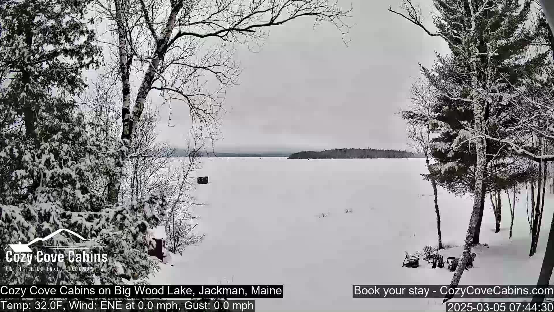 Snow-covered trees and a frozen lake are visible under an overcast sky.