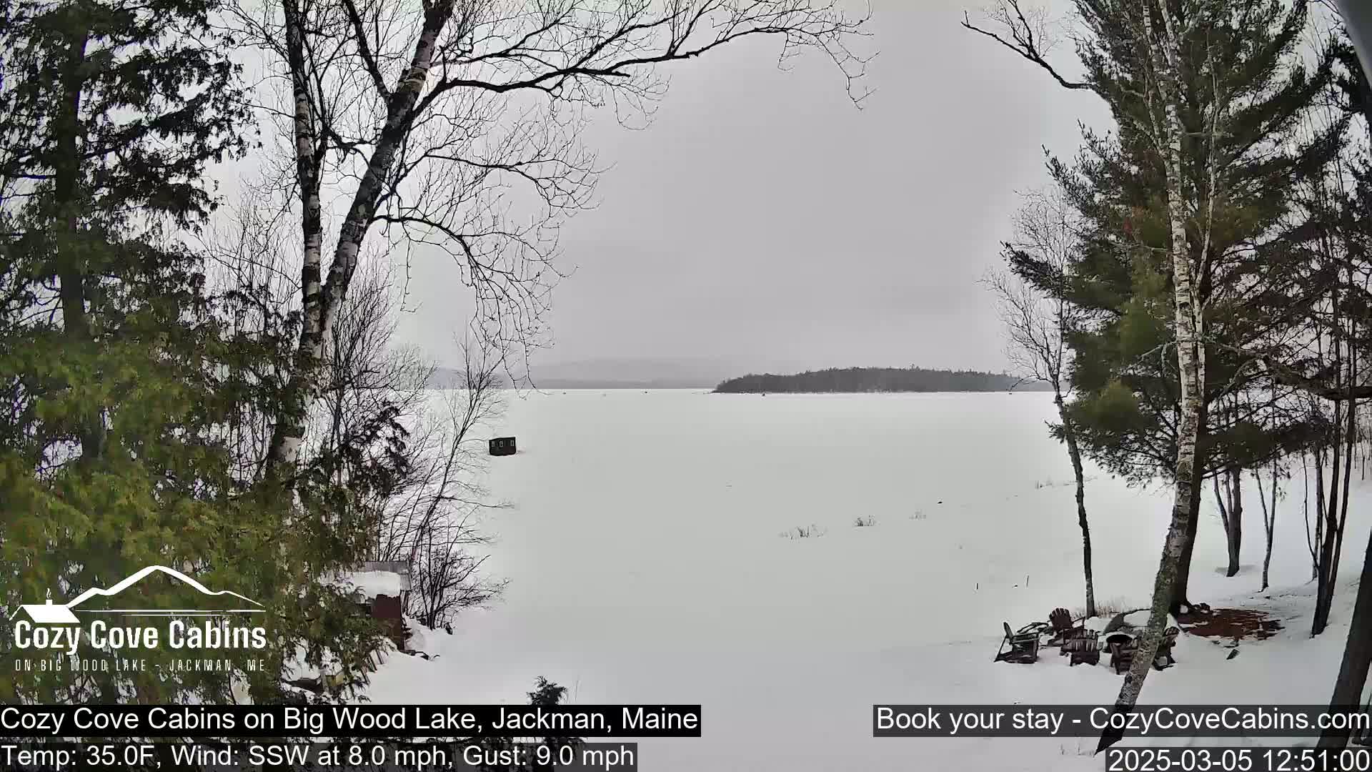 A snowy, overcast view of a frozen lake, seen from a snow-covered shoreline with leafless trees.