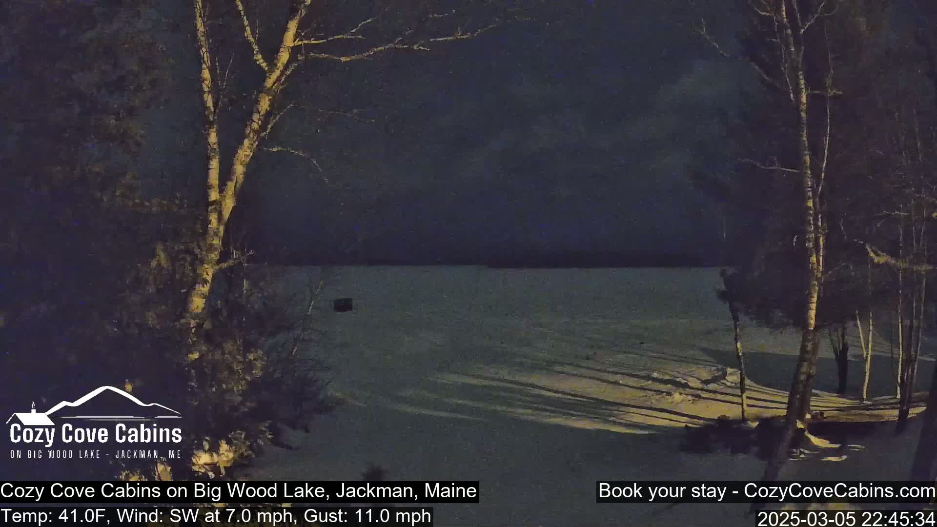 A nighttime view of a snow-covered lake under a dark sky, with bare trees and long shadows visible in the foreground.