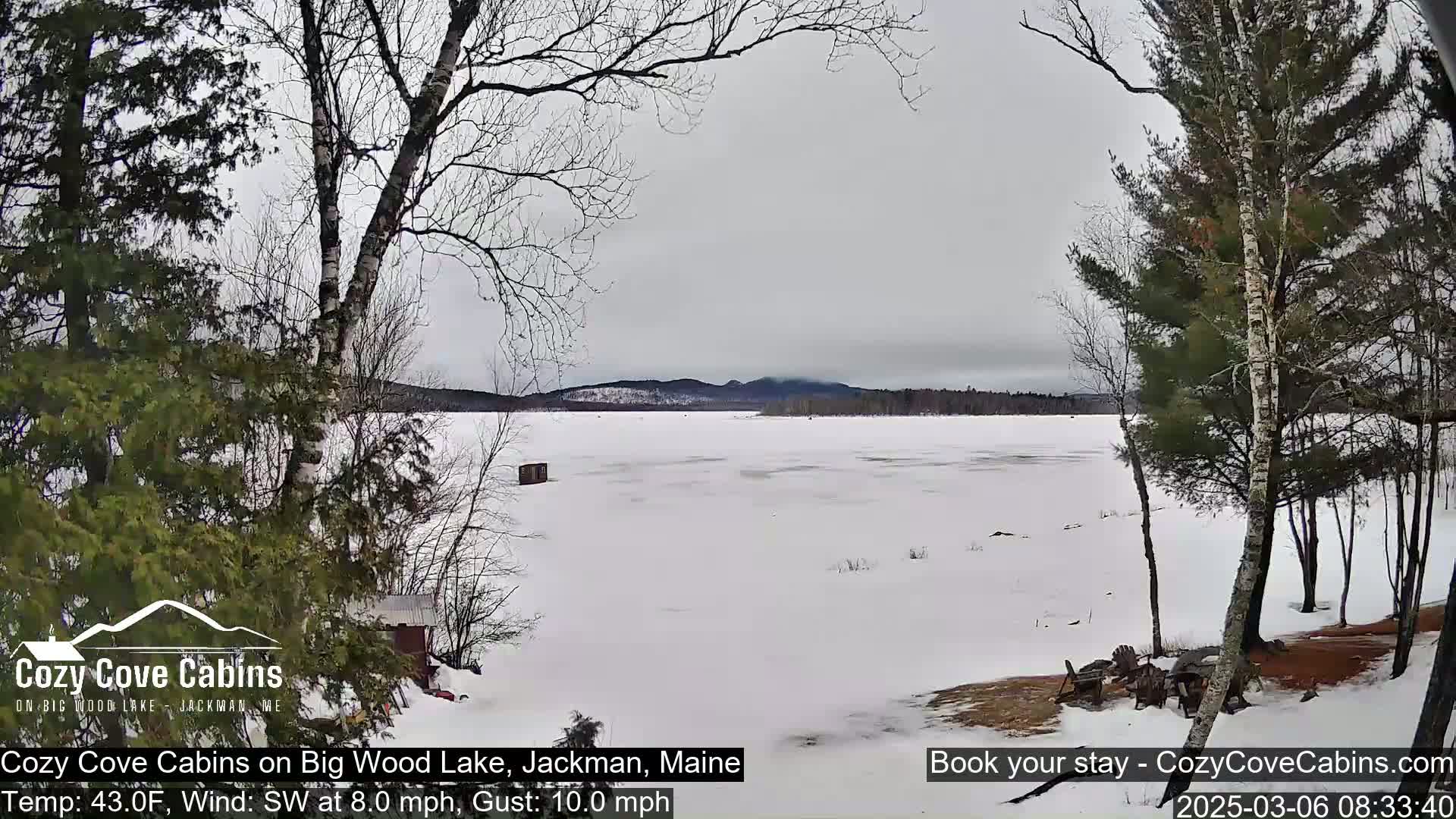 A snow-covered lake is seen from a lakeside cabin with bare trees in the foreground under an overcast sky.