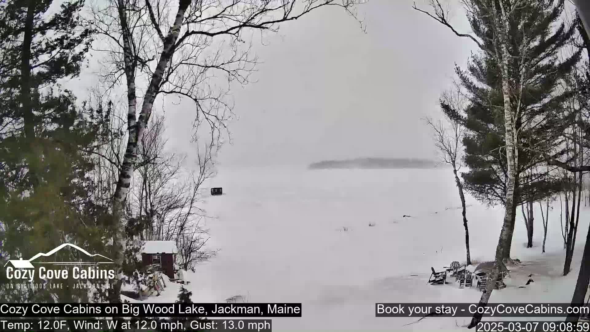 A snowy, windy scene shows a frozen lake viewed from a snow-covered shoreline with bare trees and a small cabin.