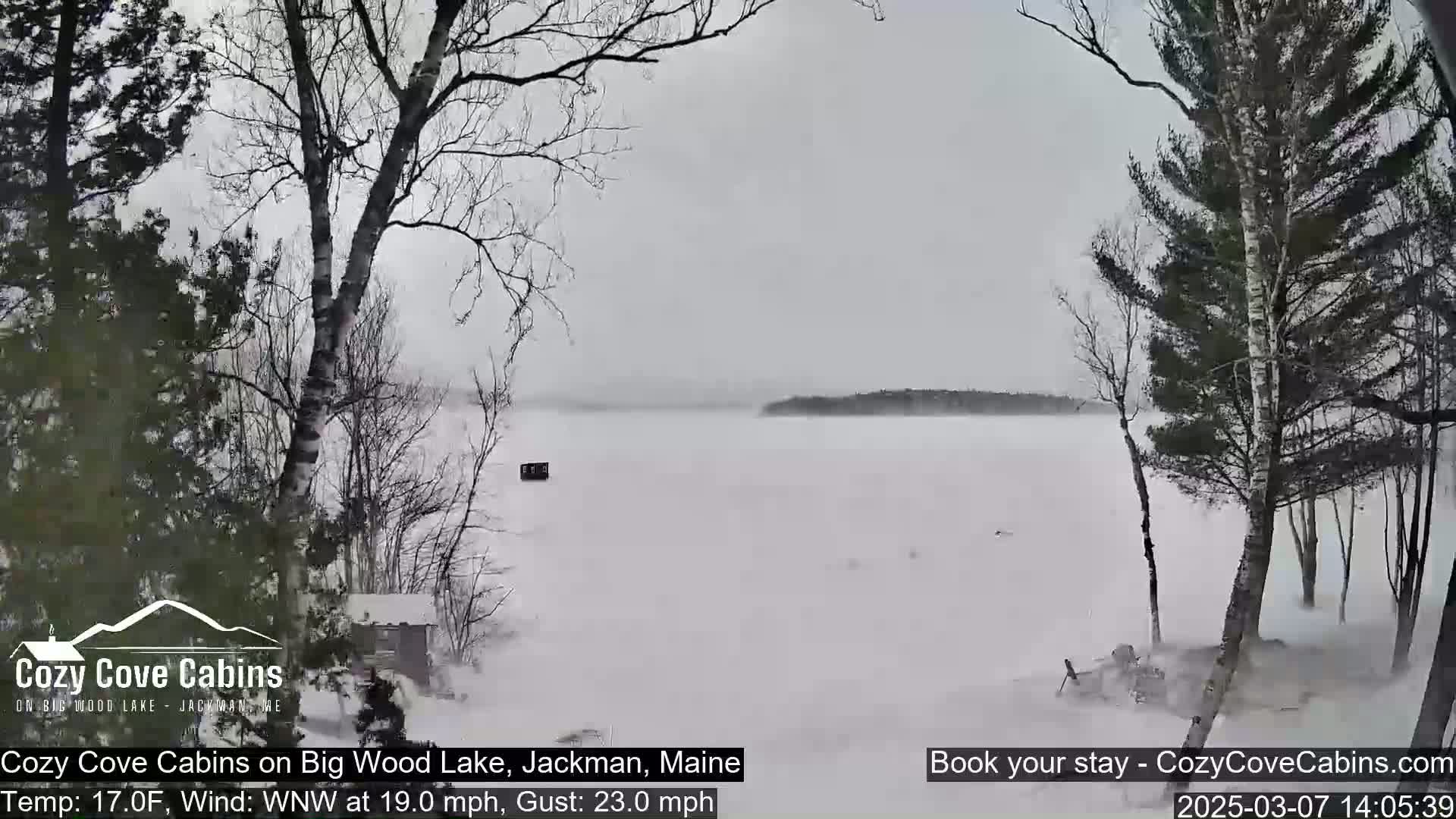 A snow-covered lake is visible through bare winter trees during a heavy snowstorm with a strong wind.