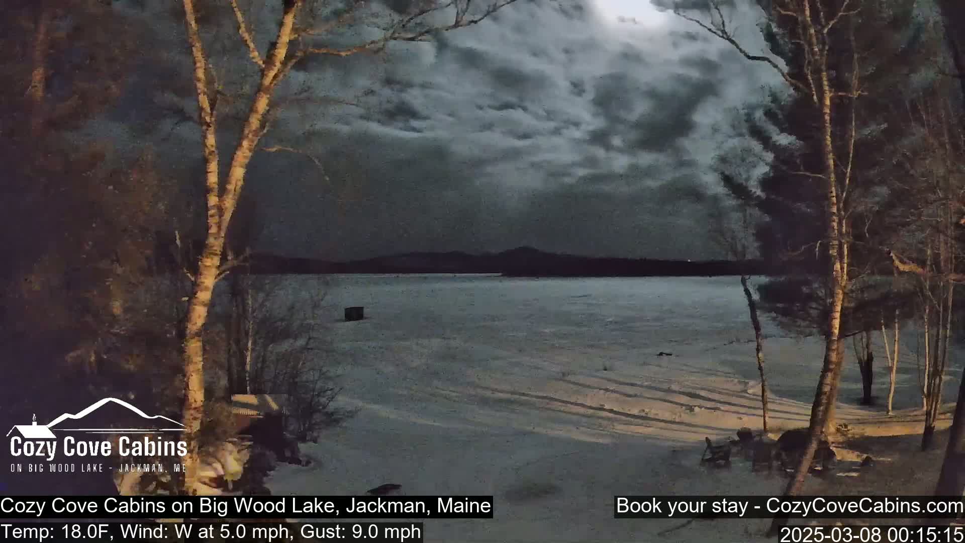 A snow-covered shoreline with birch trees frames a frozen lake under a dark, cloudy night sky.