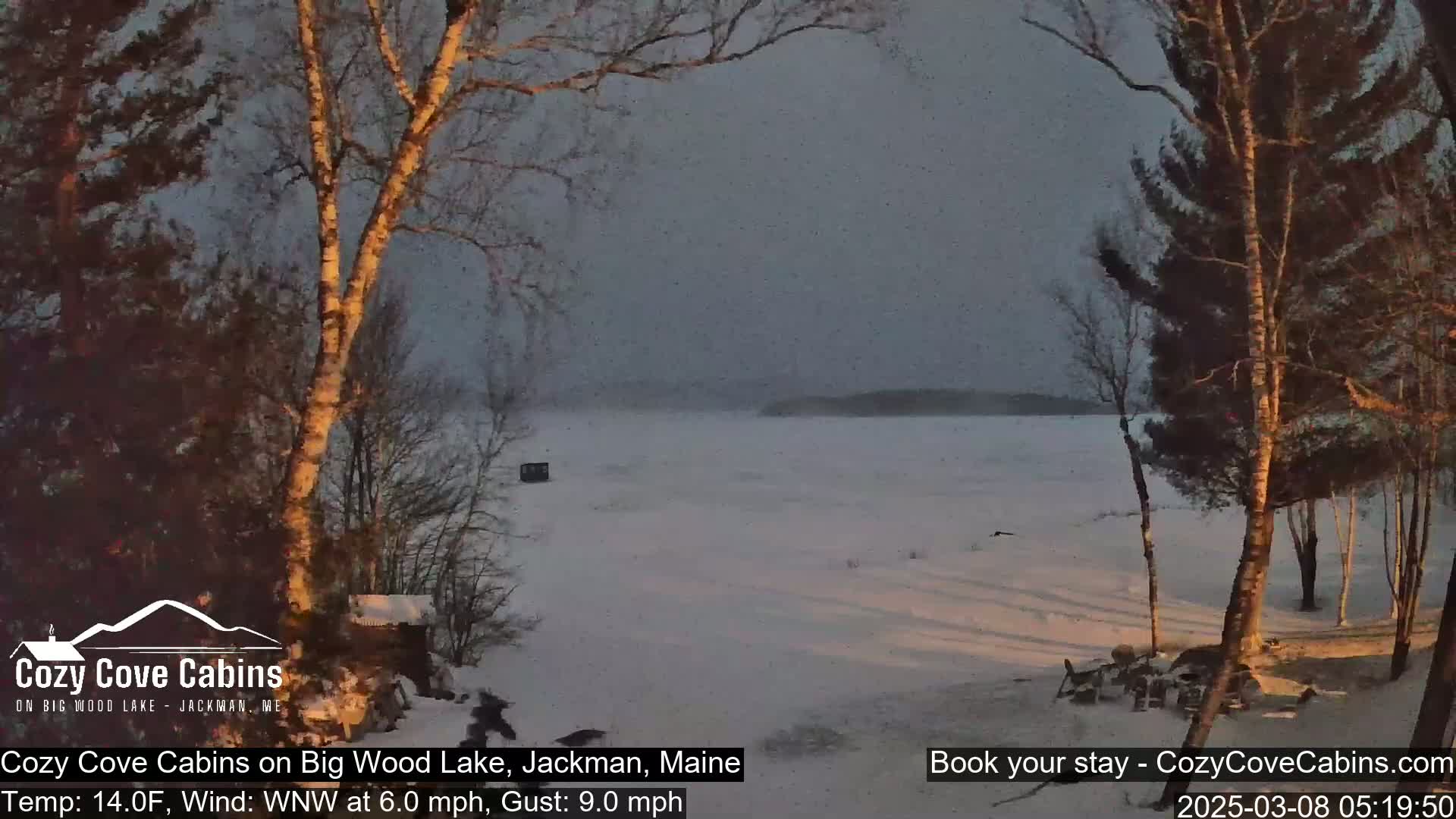 A snow-covered lake is visible through leafless trees in a cold, windy setting, with a faint sunset in the sky.