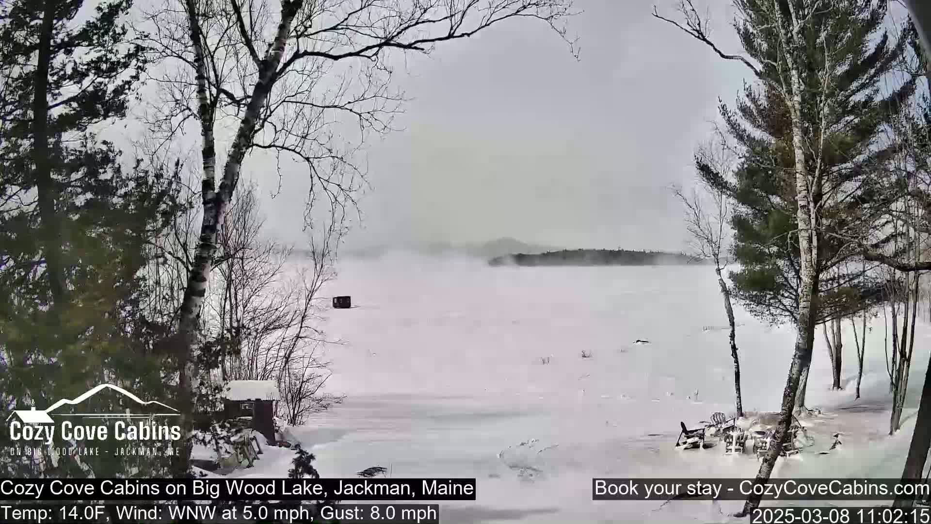 A snow-covered lake is seen through bare trees in a snowy landscape with a gusty wind.