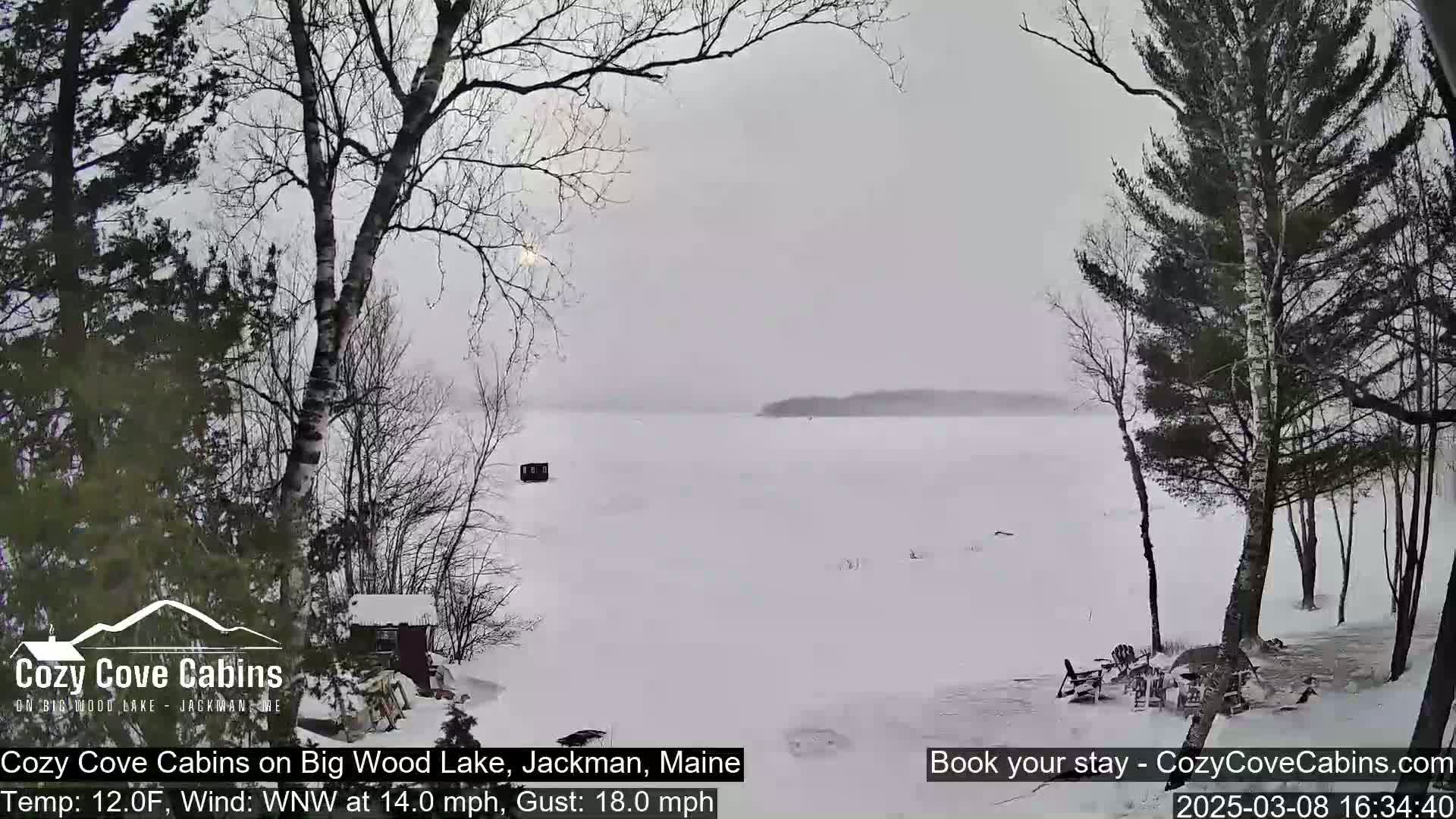 A snow-covered frozen lake is seen from a snowy shoreline with leafless trees, a small cabin, and outdoor furniture.