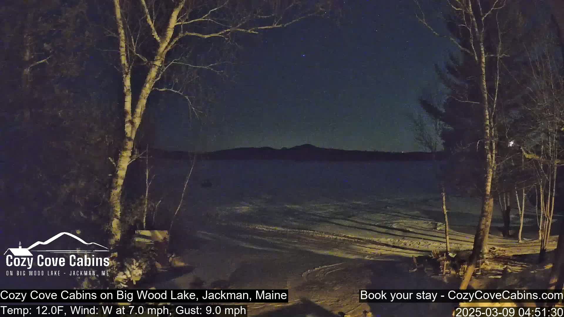 A nighttime view of a snow-covered shoreline with leafless trees, a partly frozen lake, and distant mountains under a clear, starry sky.